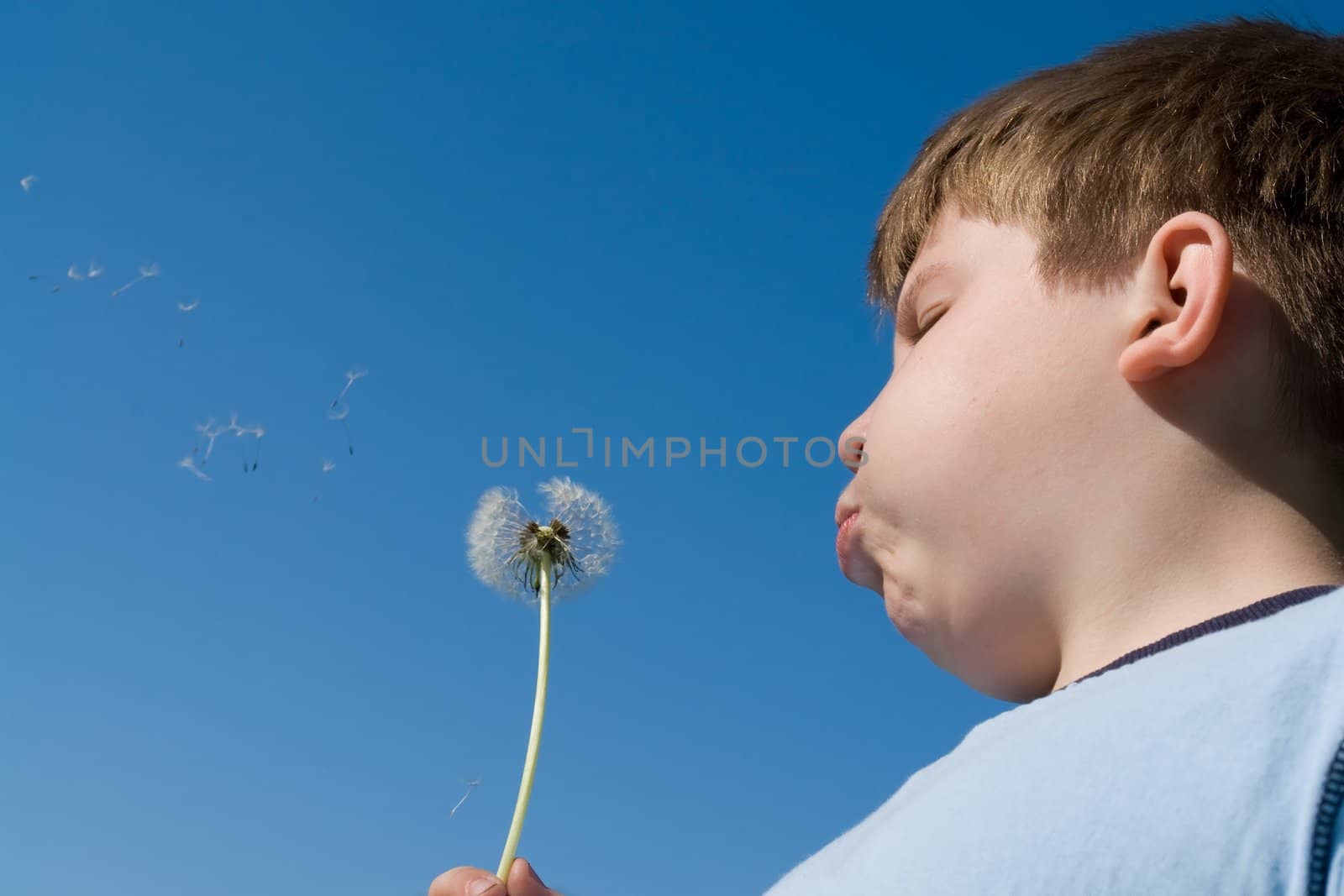 little boy blows on a dandelion against the sky
