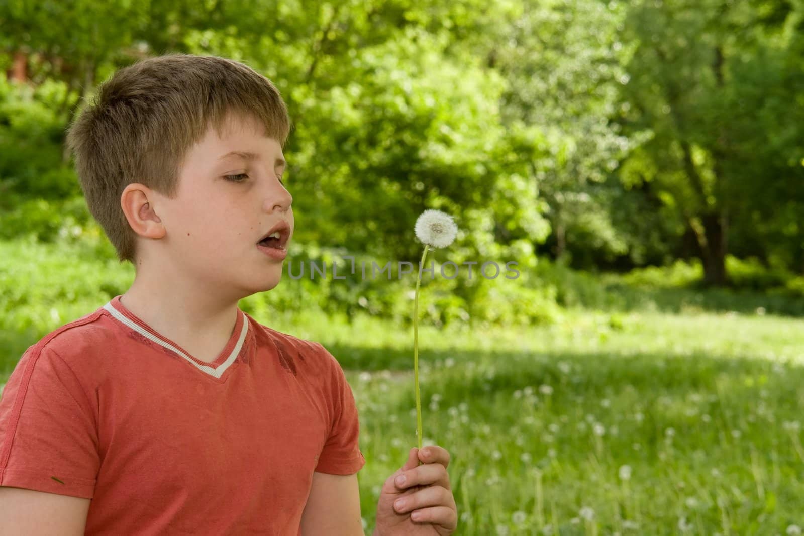 little boy blows on a dandelion against park
