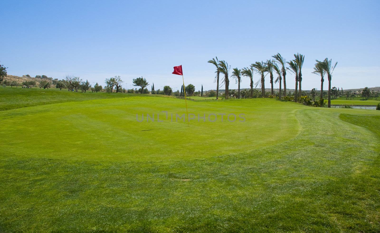 Putting green