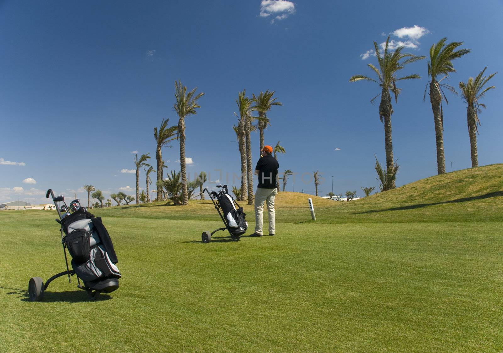 A golfer on the course