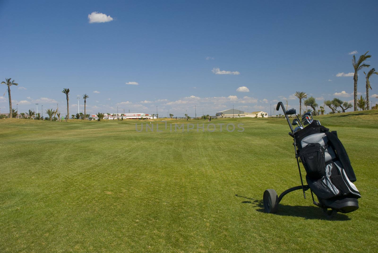 Golf bag on the course