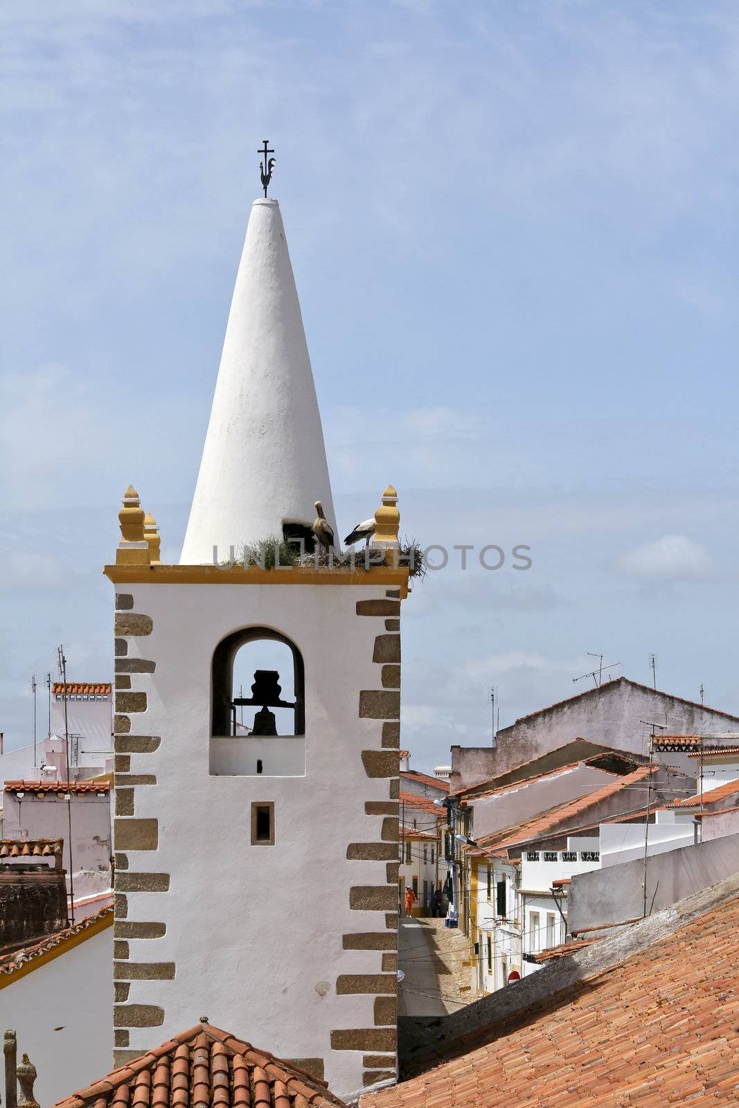 Storks in top of one church roof in Montalvao - Portugal