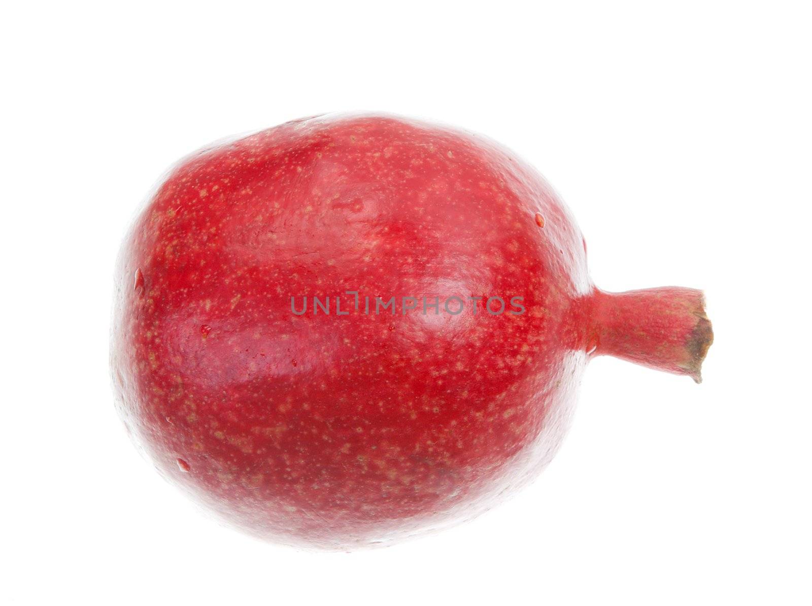 Pomegranate on a white background.type from the side