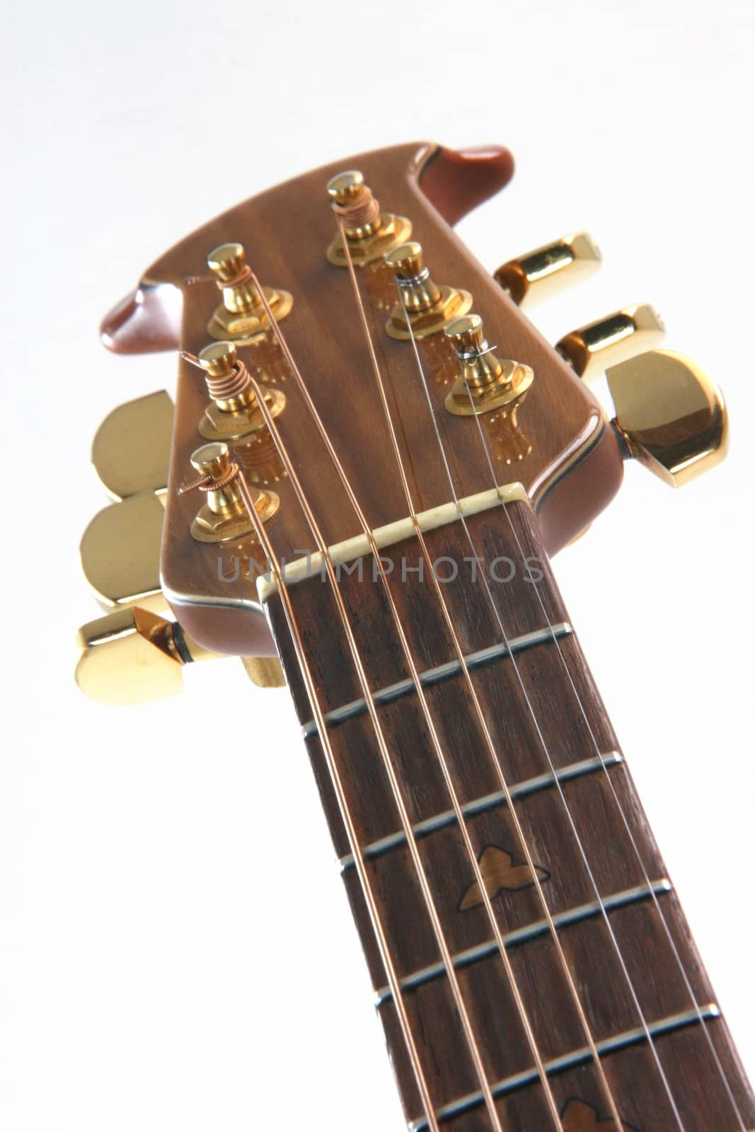 music instruments guitar detail strings on white background 