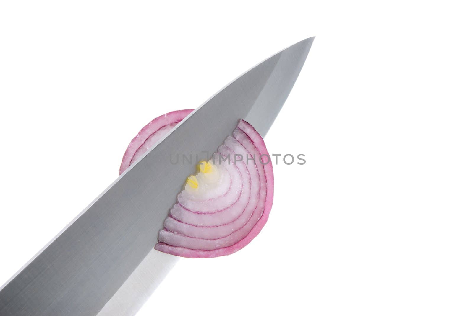 Food preparation-cuts an onions on small slices on a white background