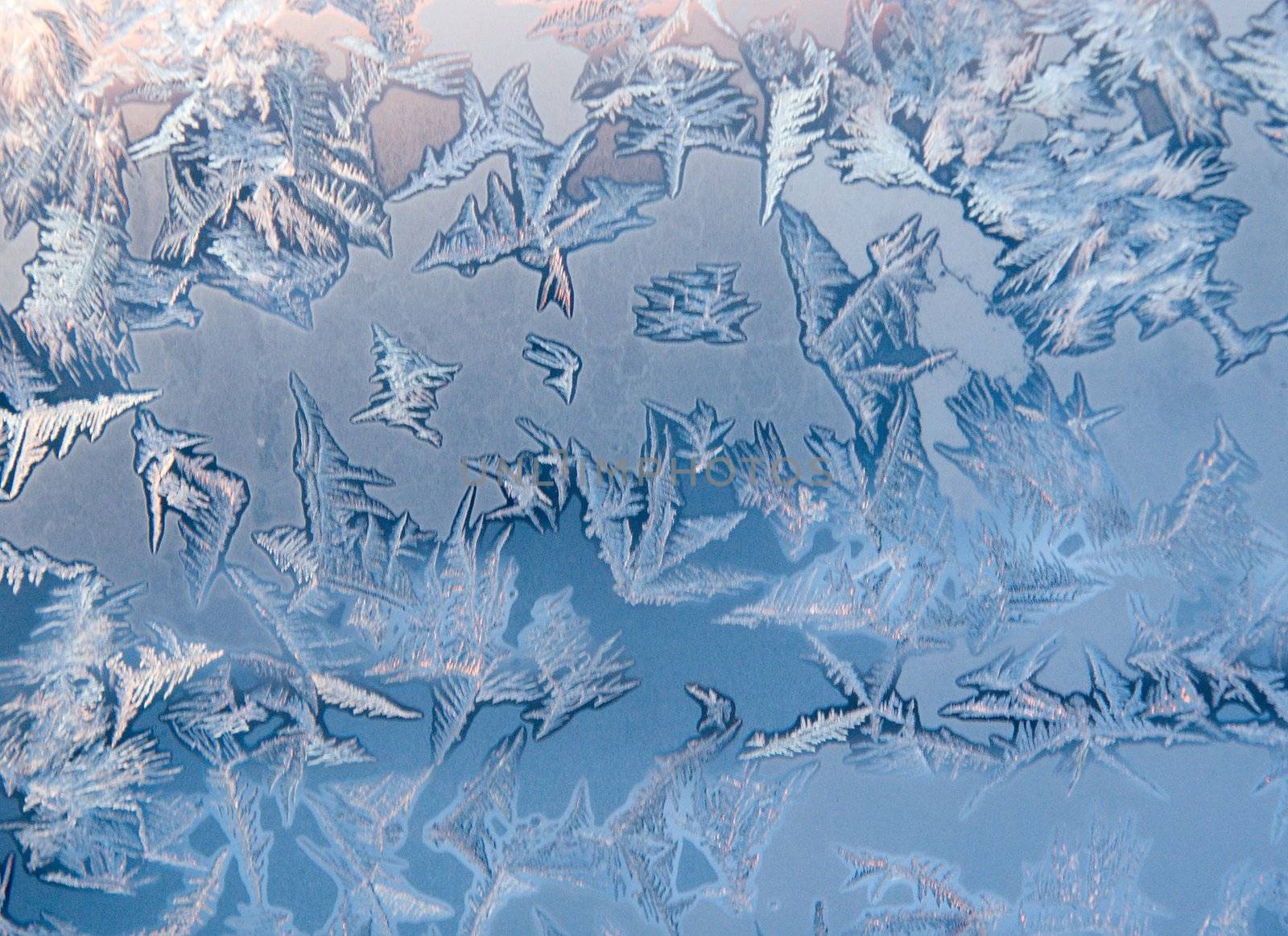 frozenned glass, Ice on window,winter icy patterns