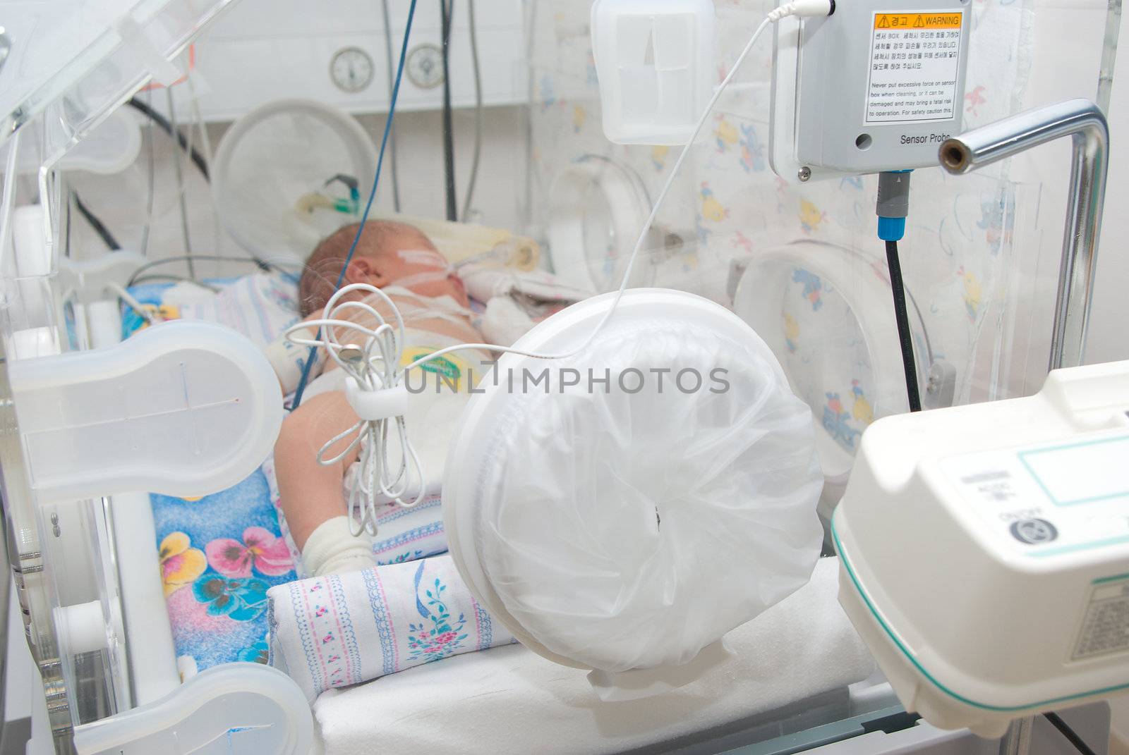 newborn baby sleeping in an incubator in hospital.branch to reanimations