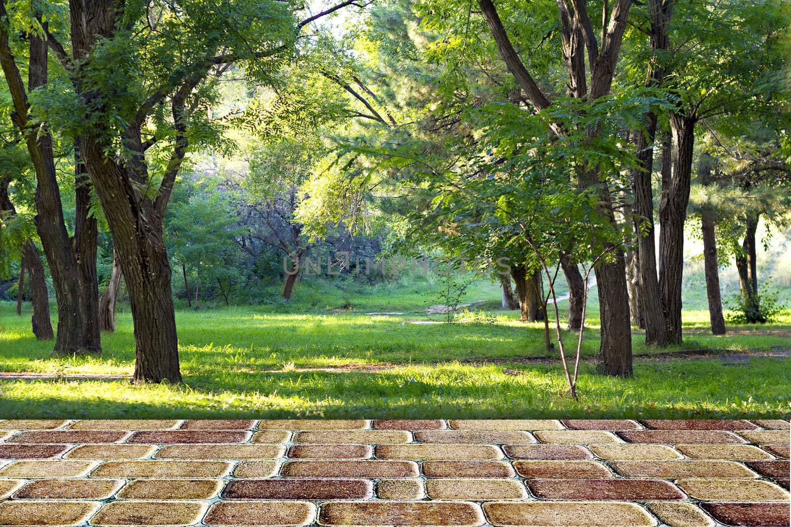 Pedestrian stone path in autumn park by Plus69