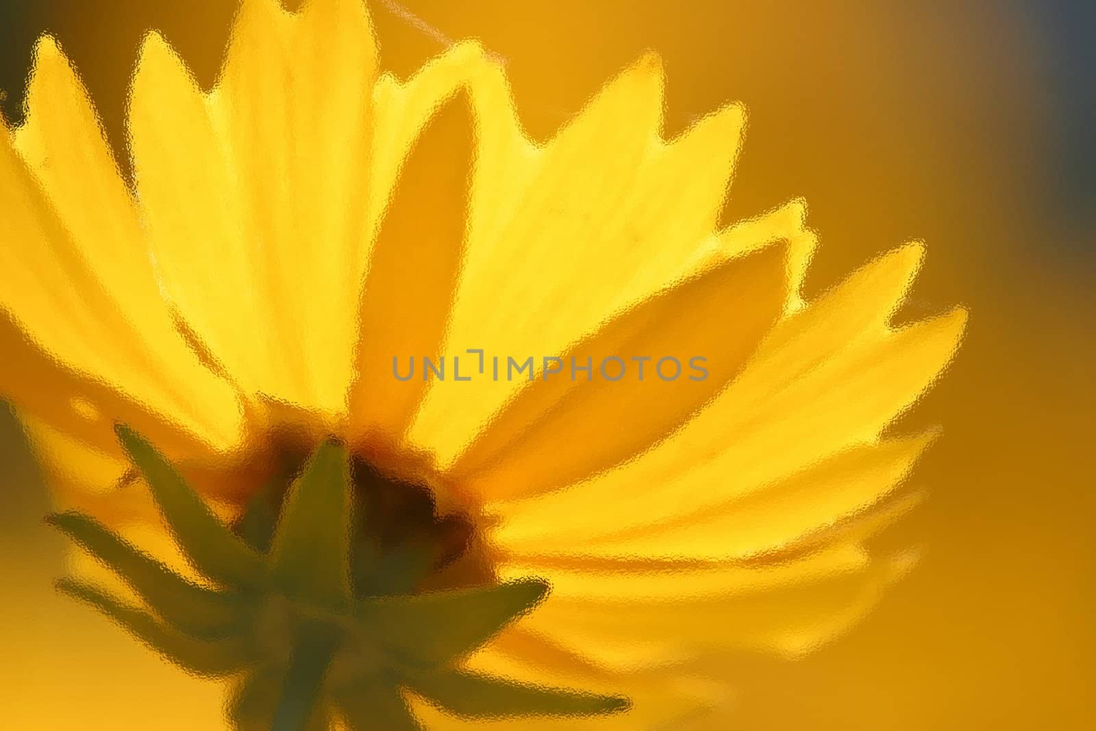 Yelow flower