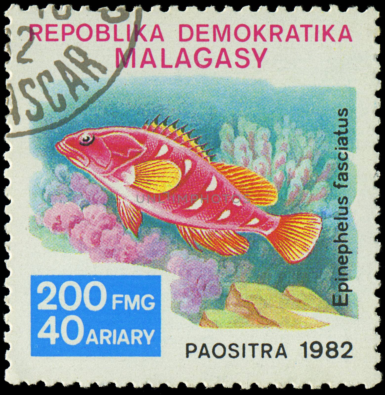 MALAGASY - CIRCA 1982:Stamp shows image of a Epinephelus fasciat by Zhukow