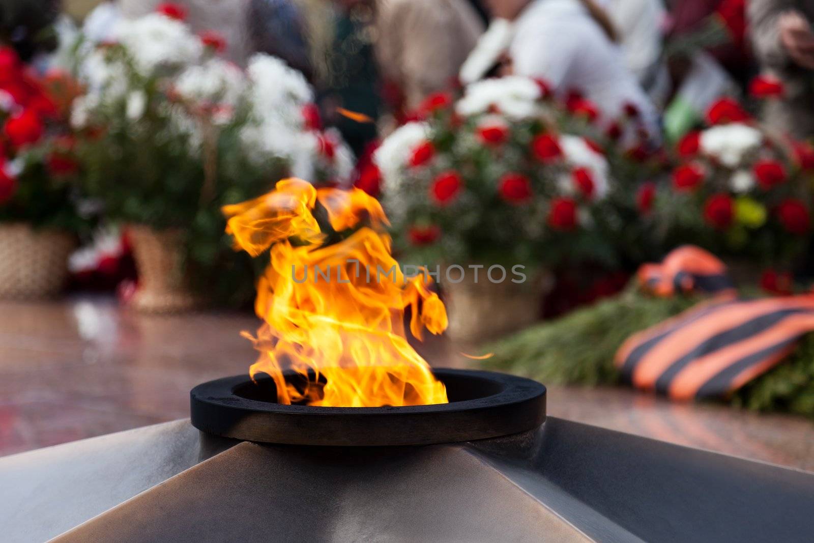 Eternal Flame memorial pink flower at Victory day