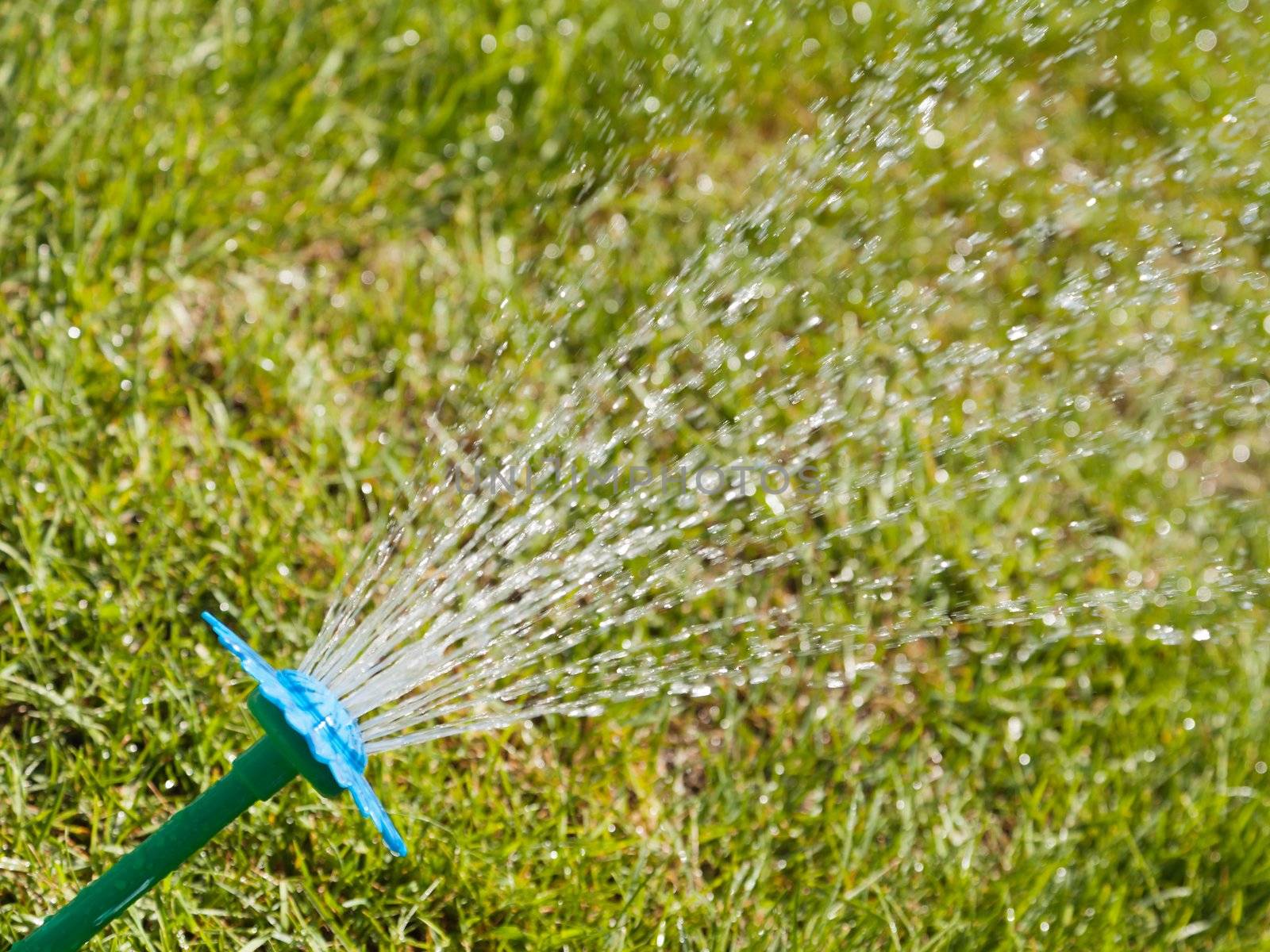 Water sprinkler on green grass by ia_64