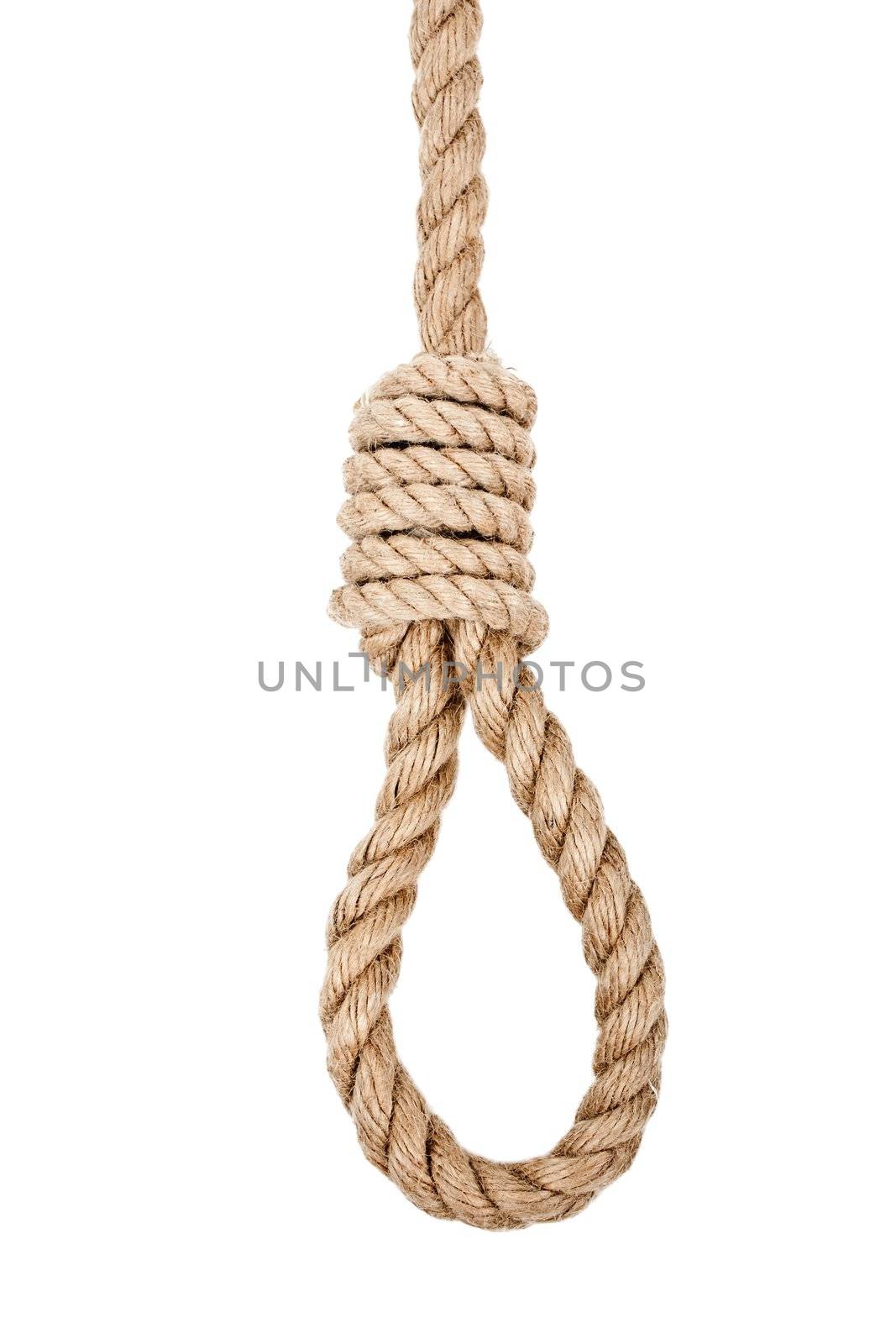 Gallows hanging rope knot tied noose white isolated