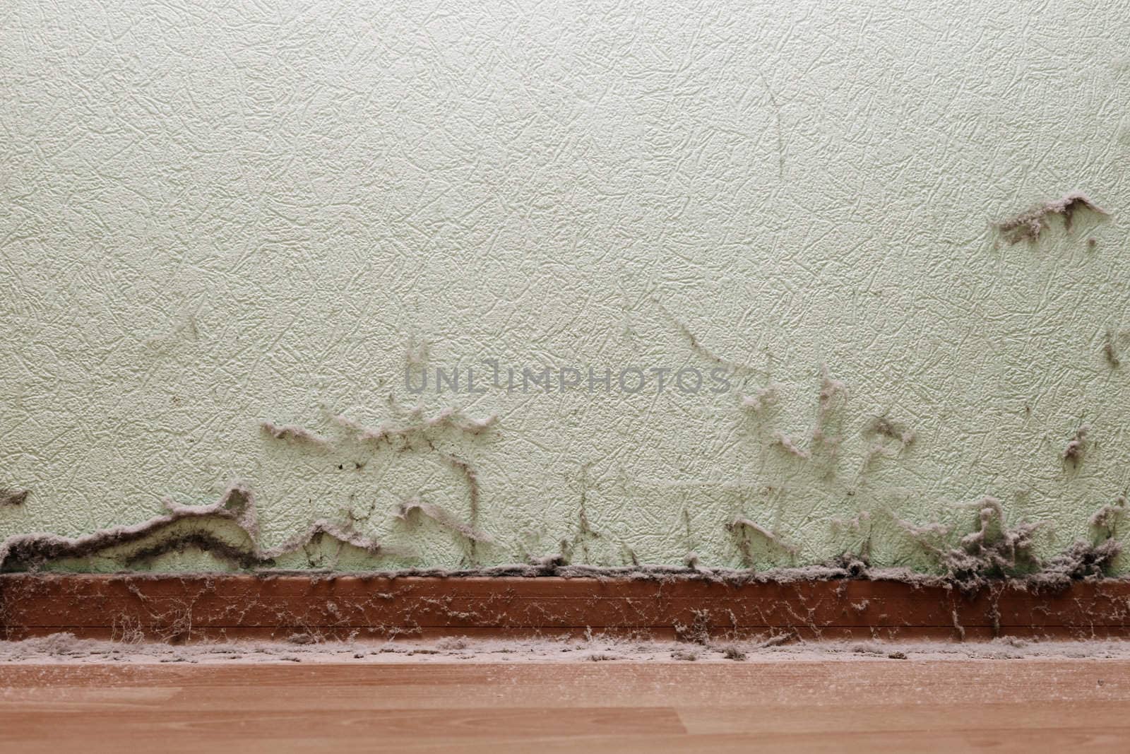 Old dirty house room interior with dust and spider web on wall and floor