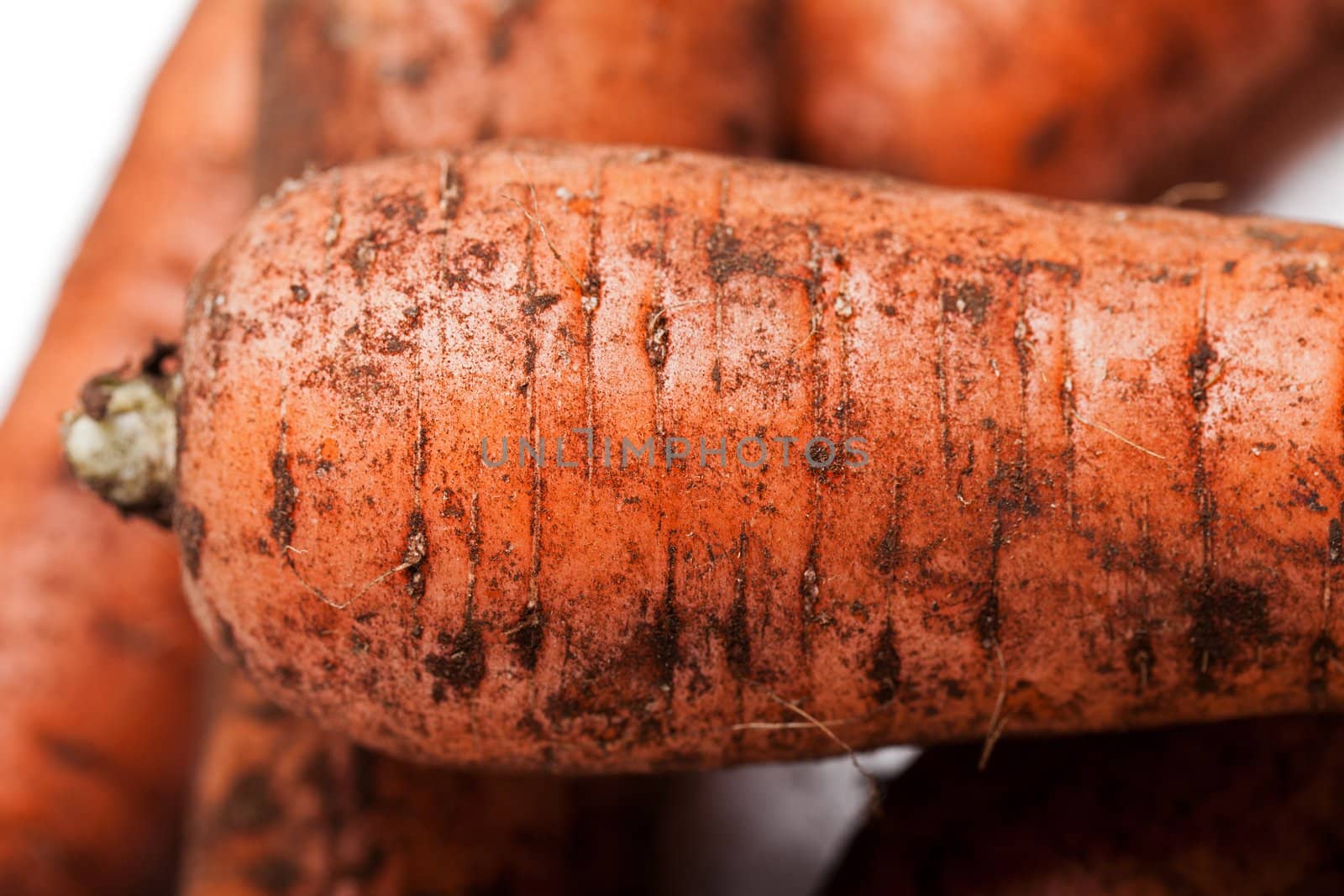 Carrot vegetable heap by ia_64