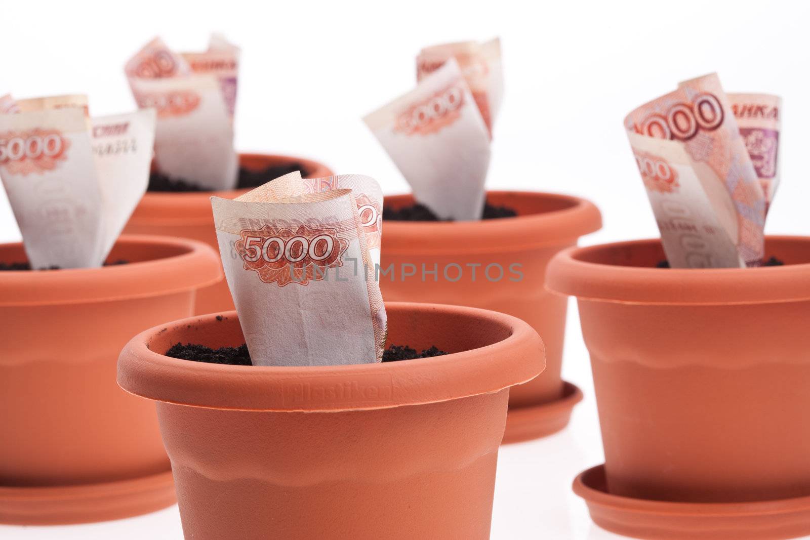 business series: growing money in the flowerpot