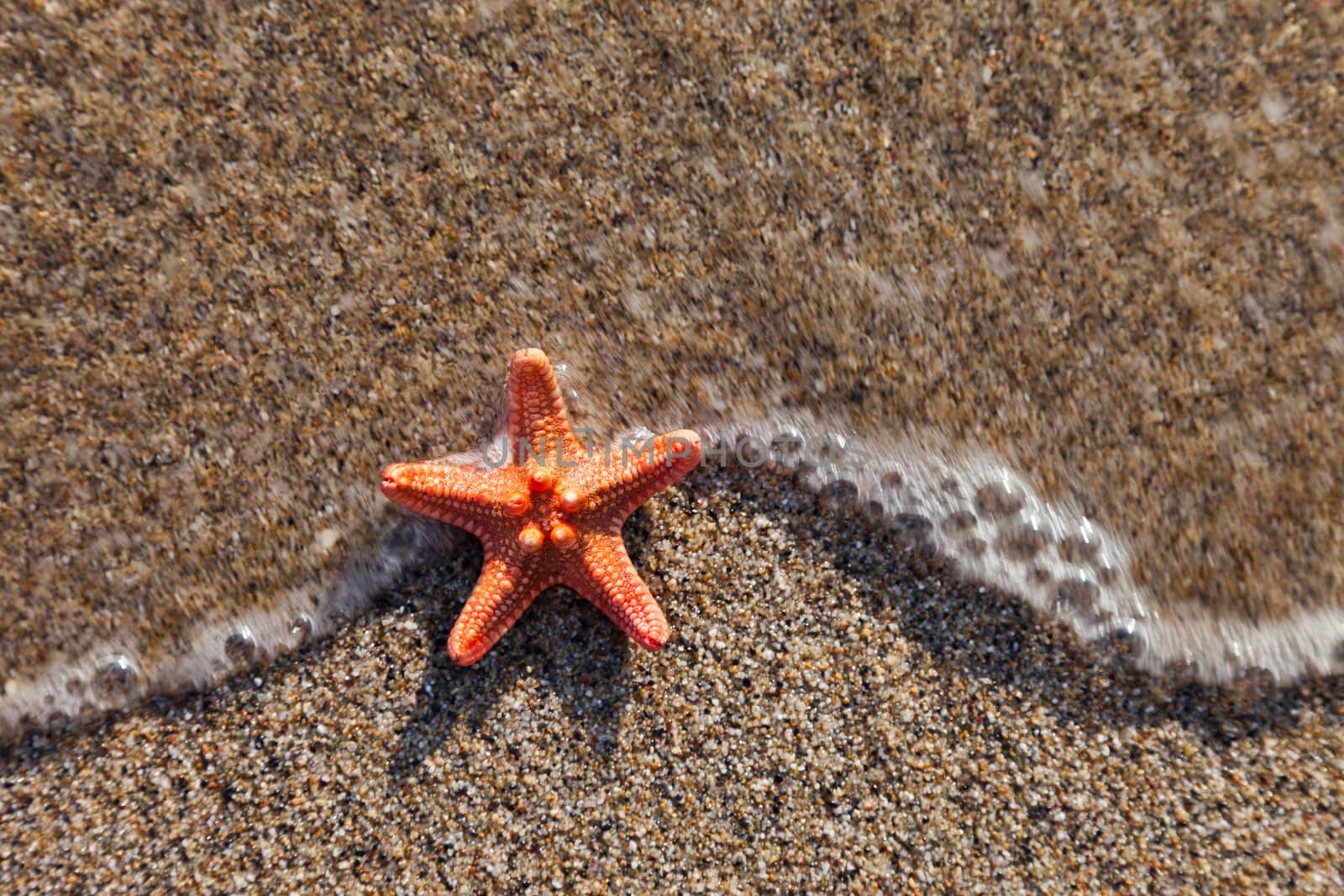 Summer vacations - starfish in water waves on sea sand beach