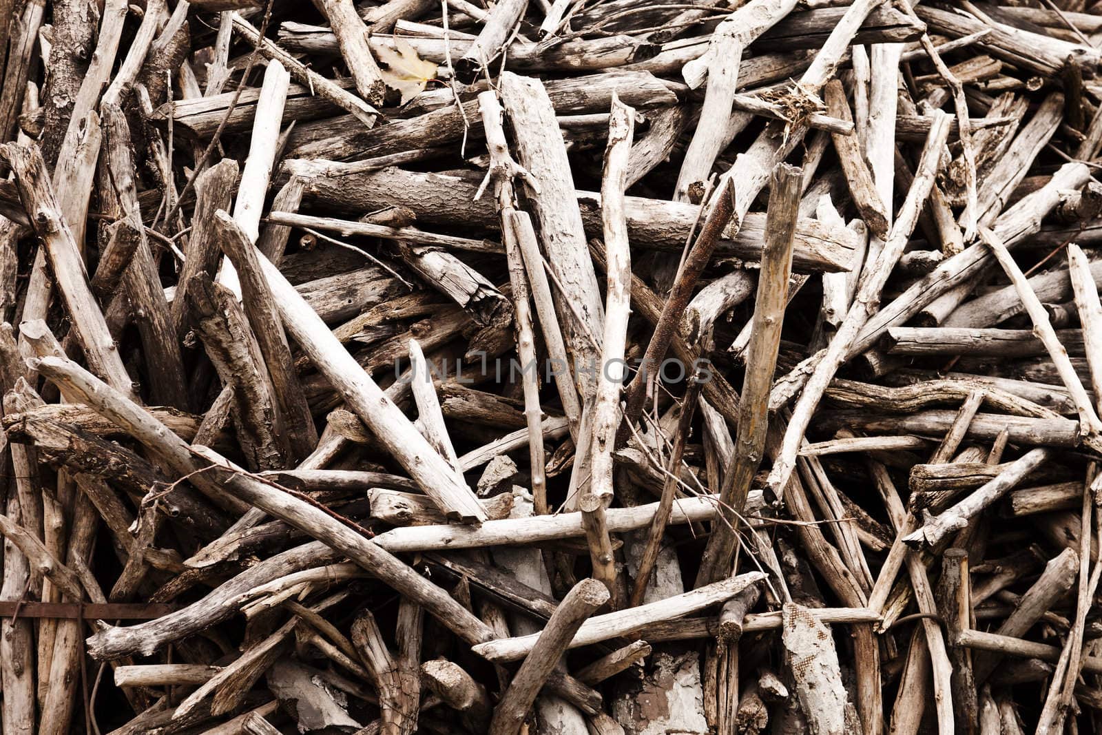 Wood forest tree log pile or stack background