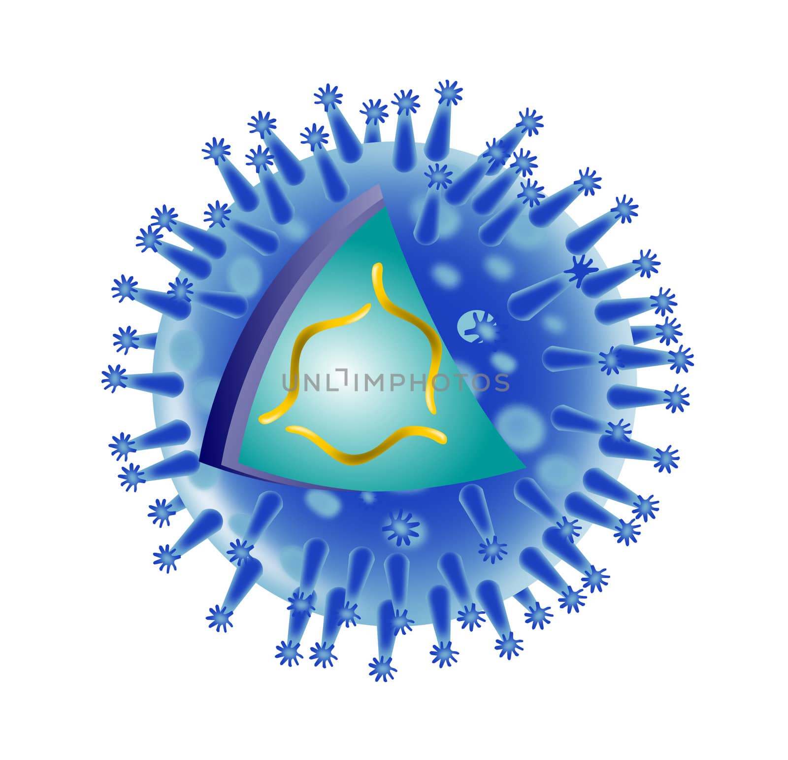 illustration of a flu virus structure on isolated background