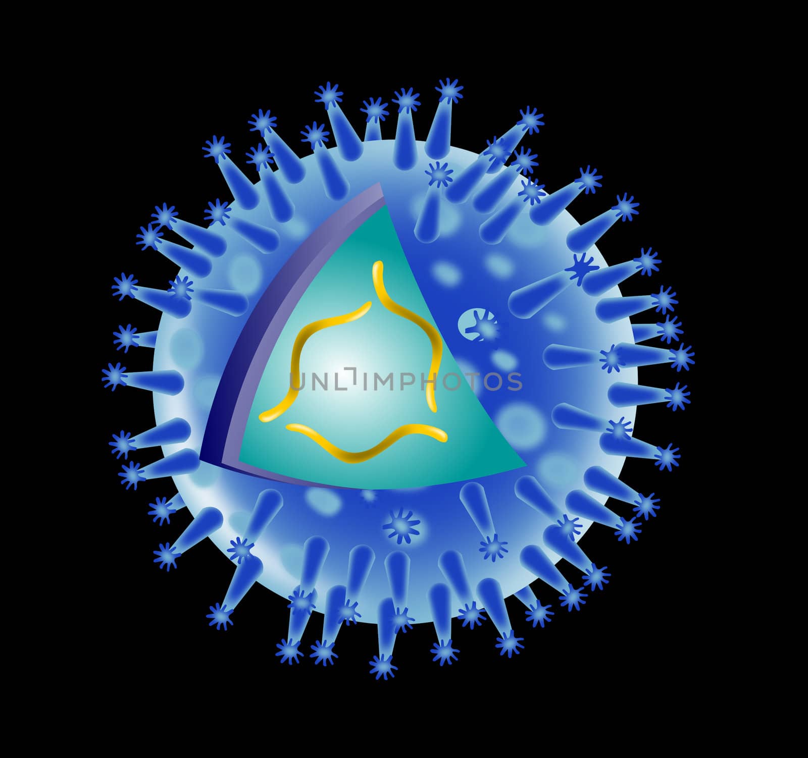 illustration of a flu virus structure on isolated background