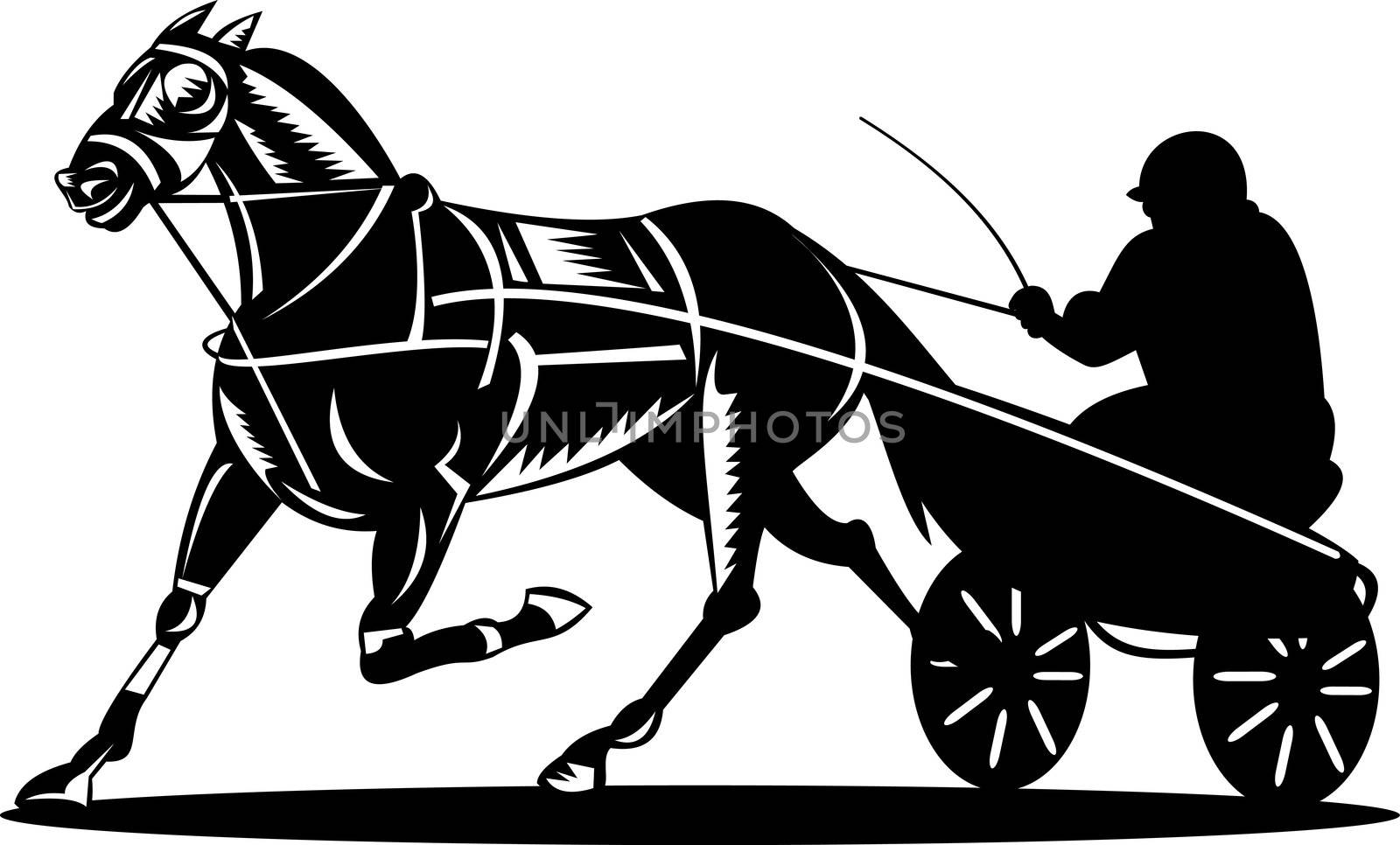 illustration of a horse and jockey harness racing on isolated white background done in retro style.