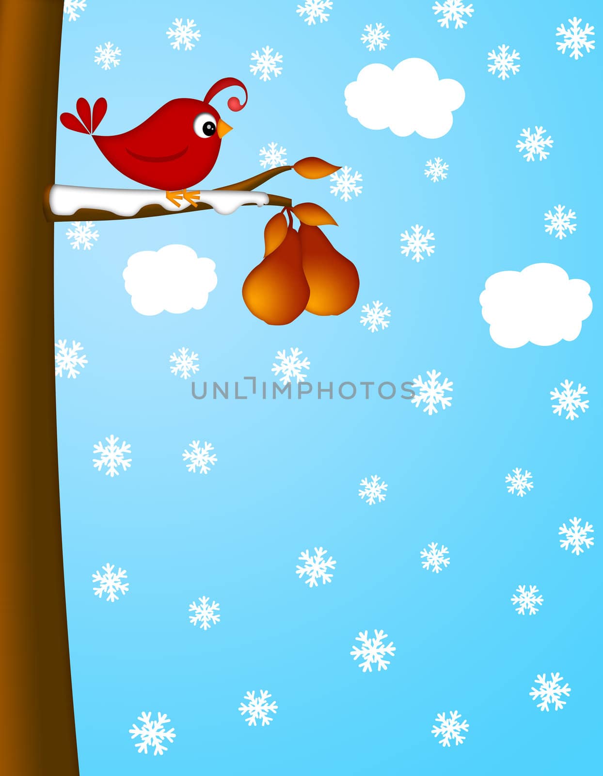 Christmas Partridge on a Pear Tree Winter Scene Illustration