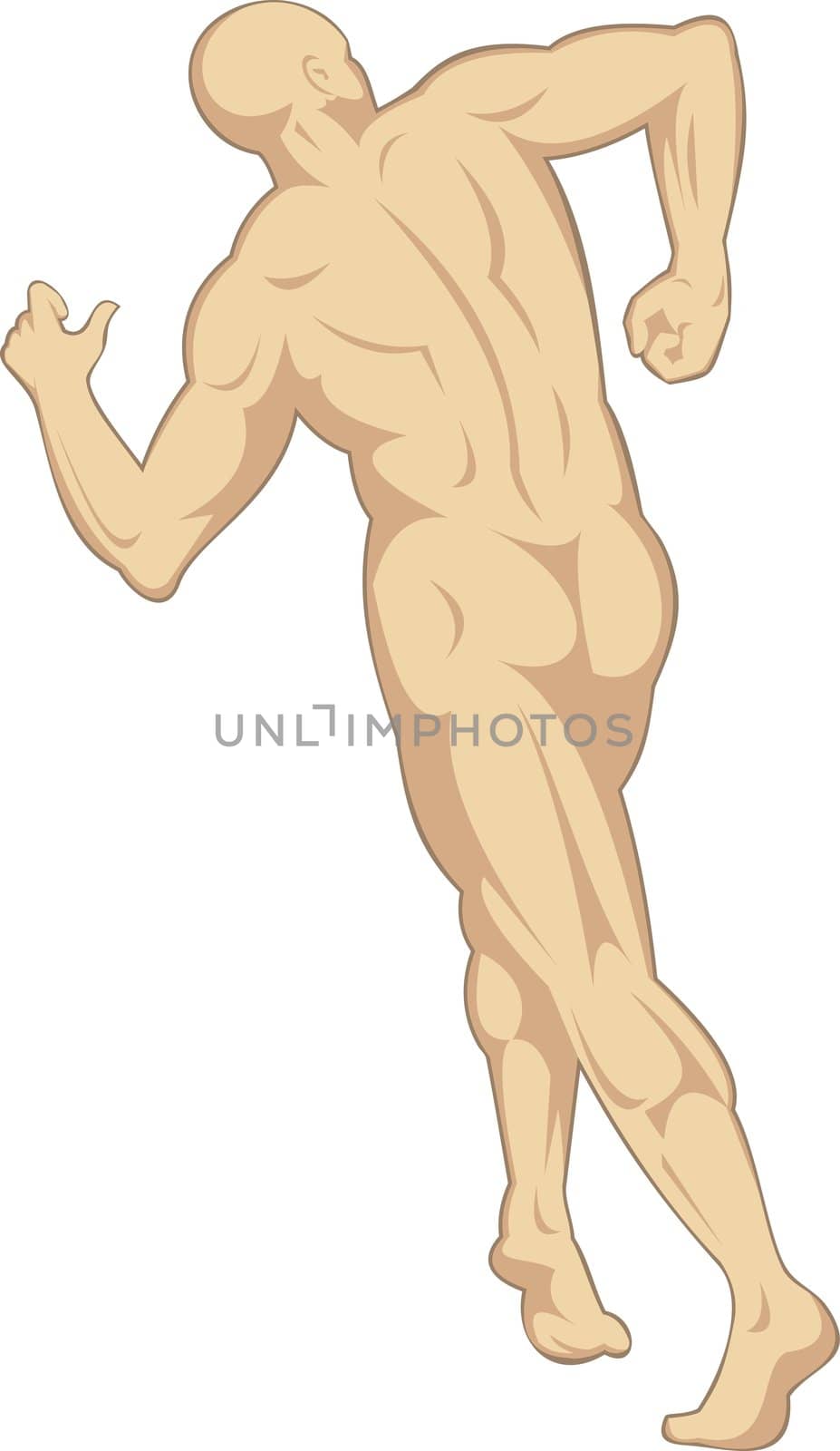illustration on the human anatomy showing a male walking on isolated background