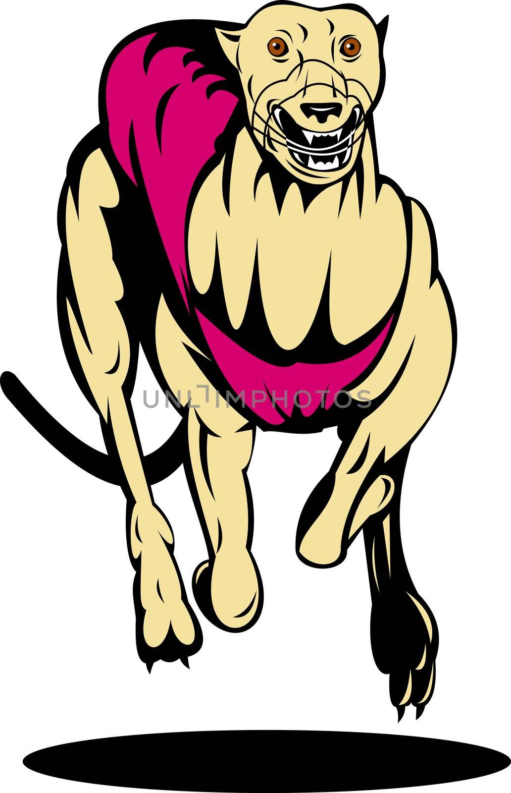 illustration of a greyhound dog racing on isolated white background