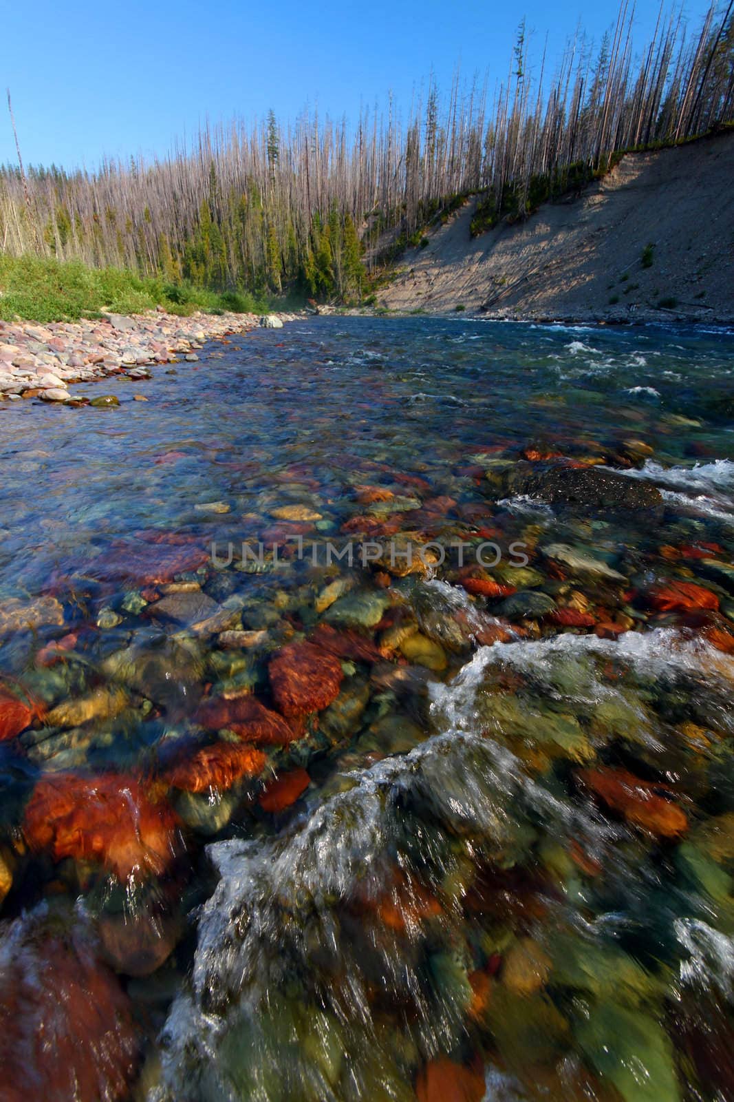 Rapids of the North Fork Flathead River on the border of Glacier National Park.
