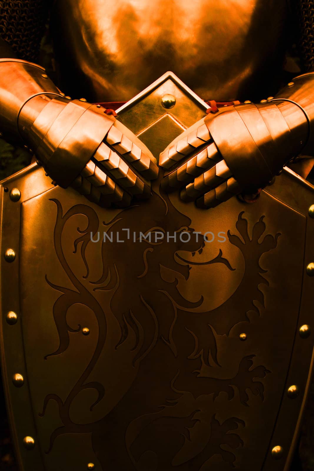 Armour of the medieval knight - with brown color