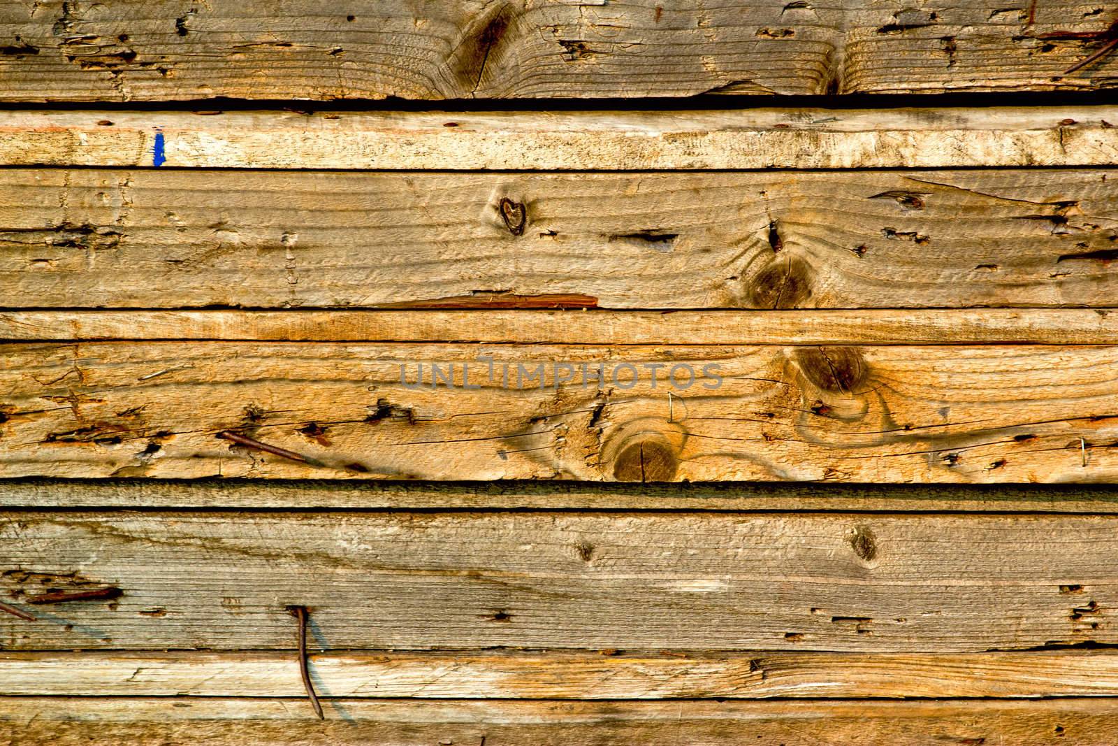 wood texture