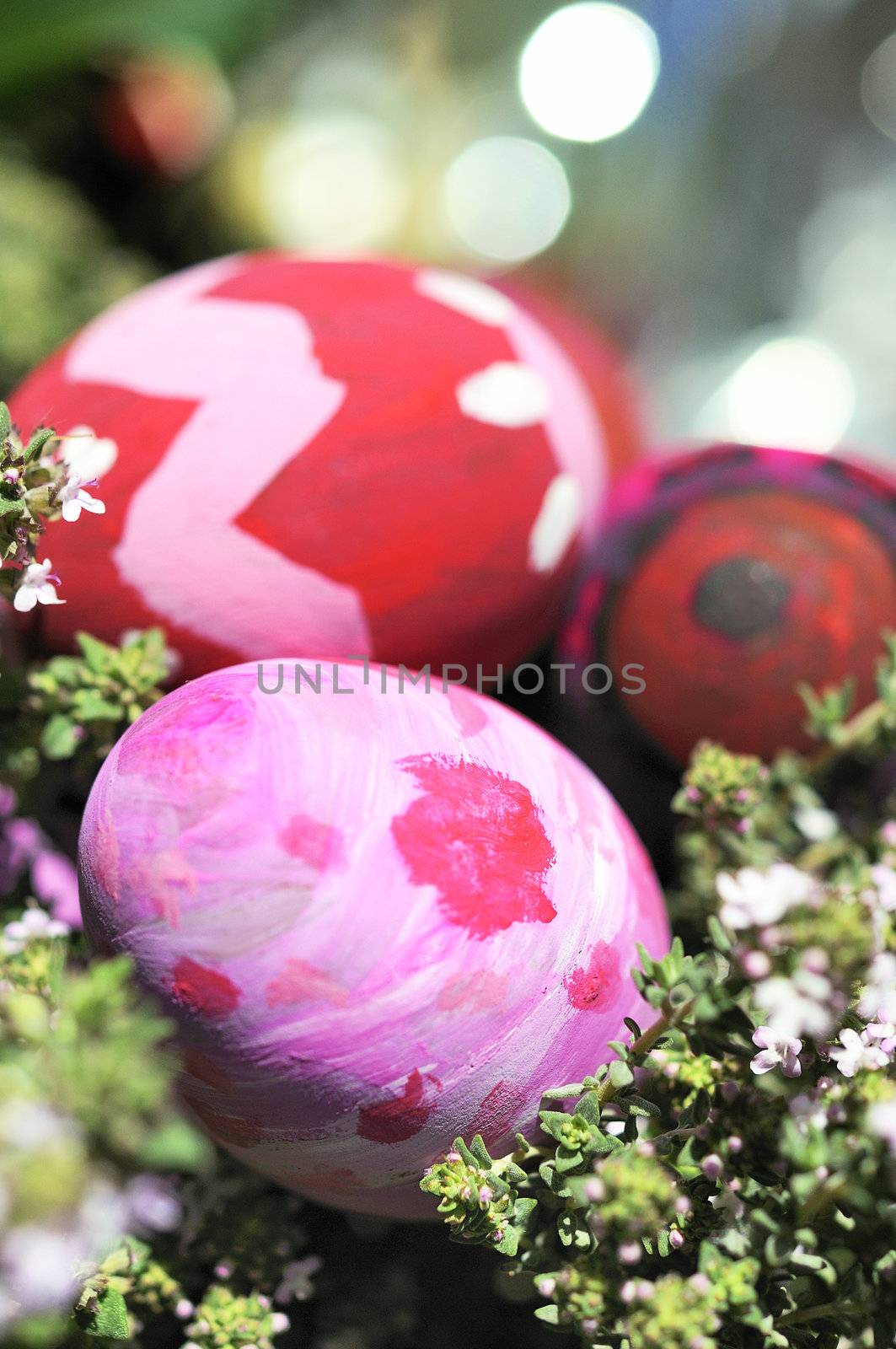 Row of Easter Eggs with Daisy on Fresh Green Grass 