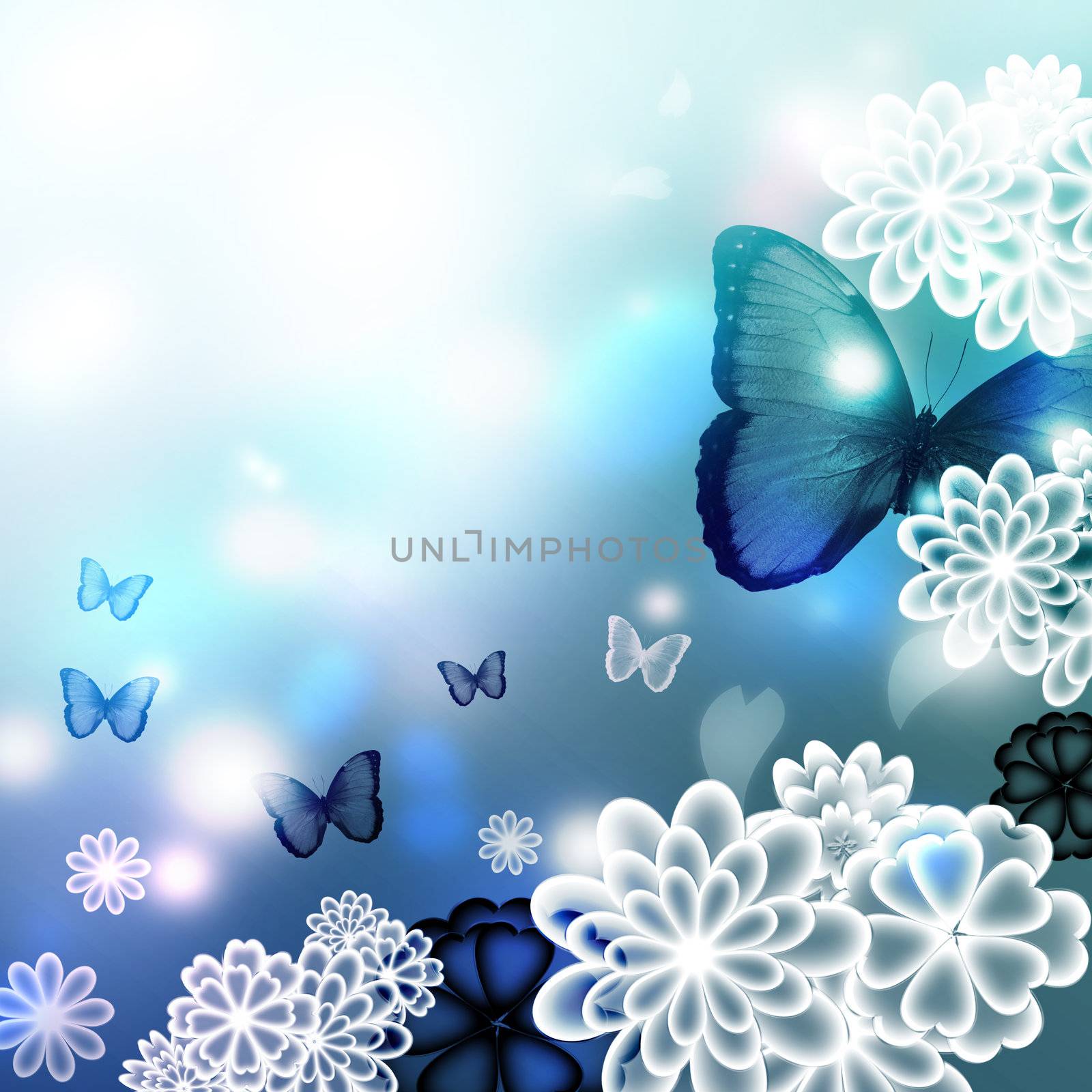 Blossoms and Butterflies Illustration by melpomene