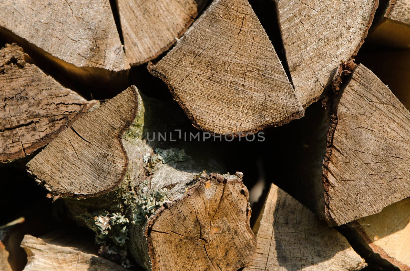background of stacked chopped firewood stump parts