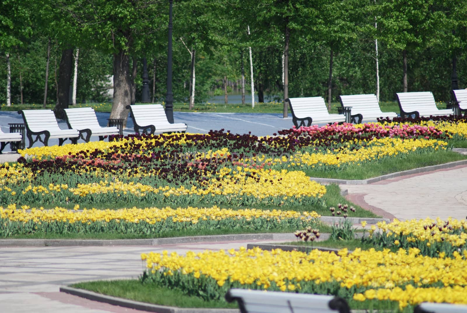 outdoor - city park in Moscow at the spring and summer by svtrotof