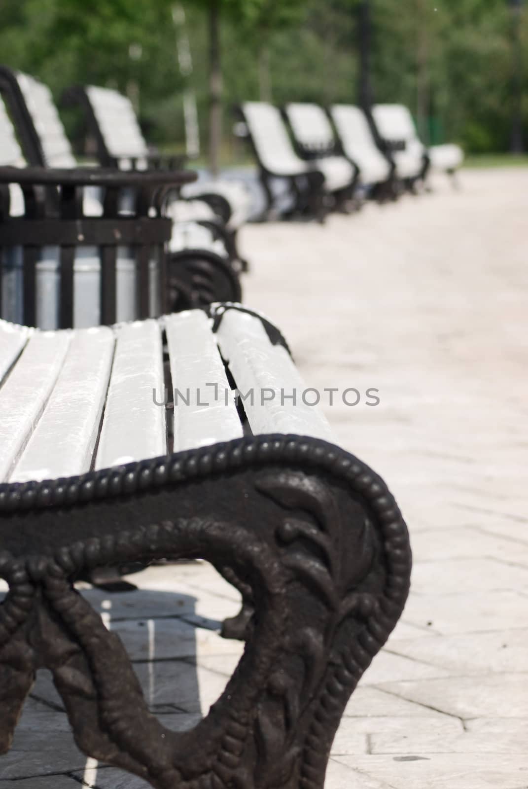 white benches in a park by svtrotof