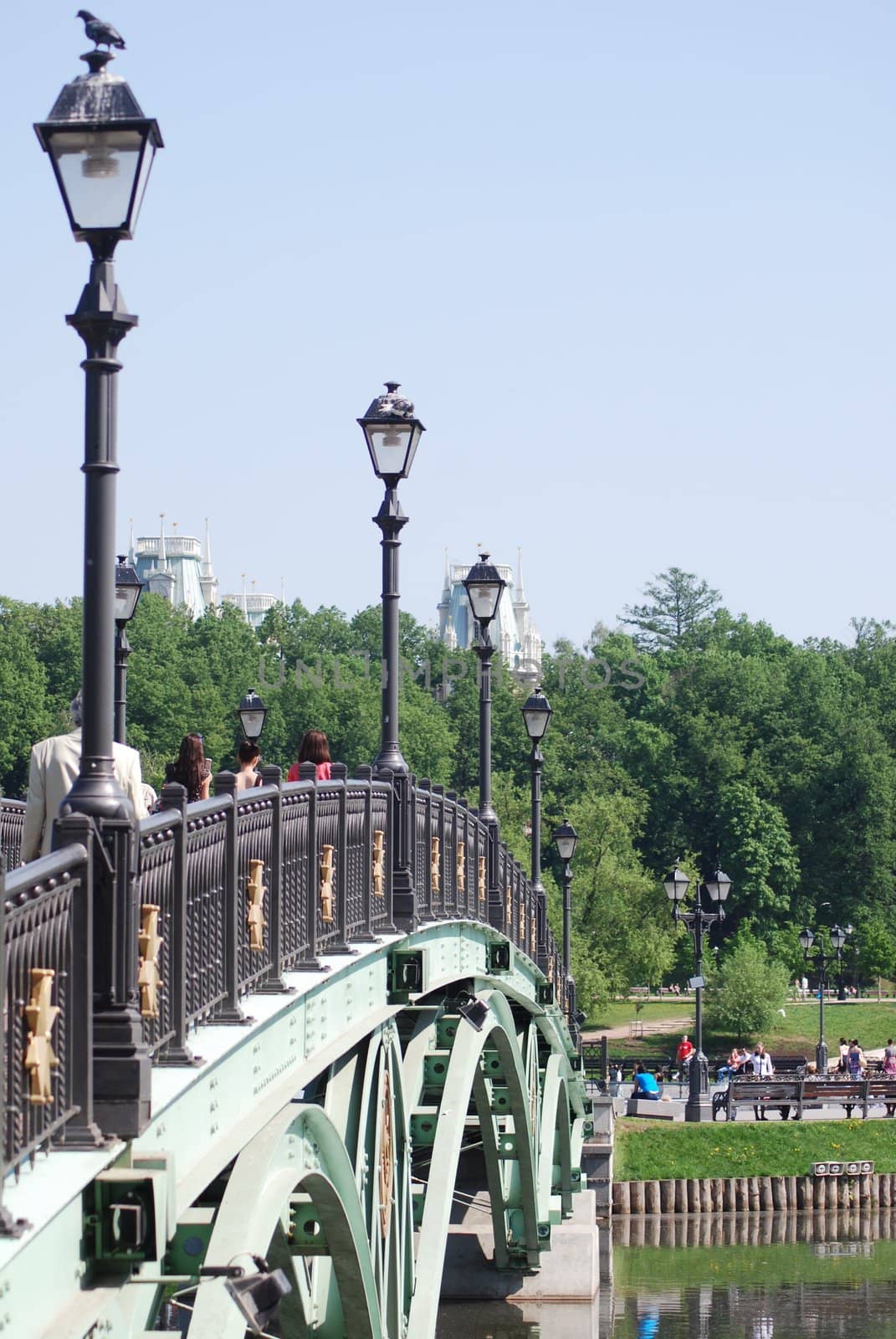 bridge in Moscow city park  at the summer
