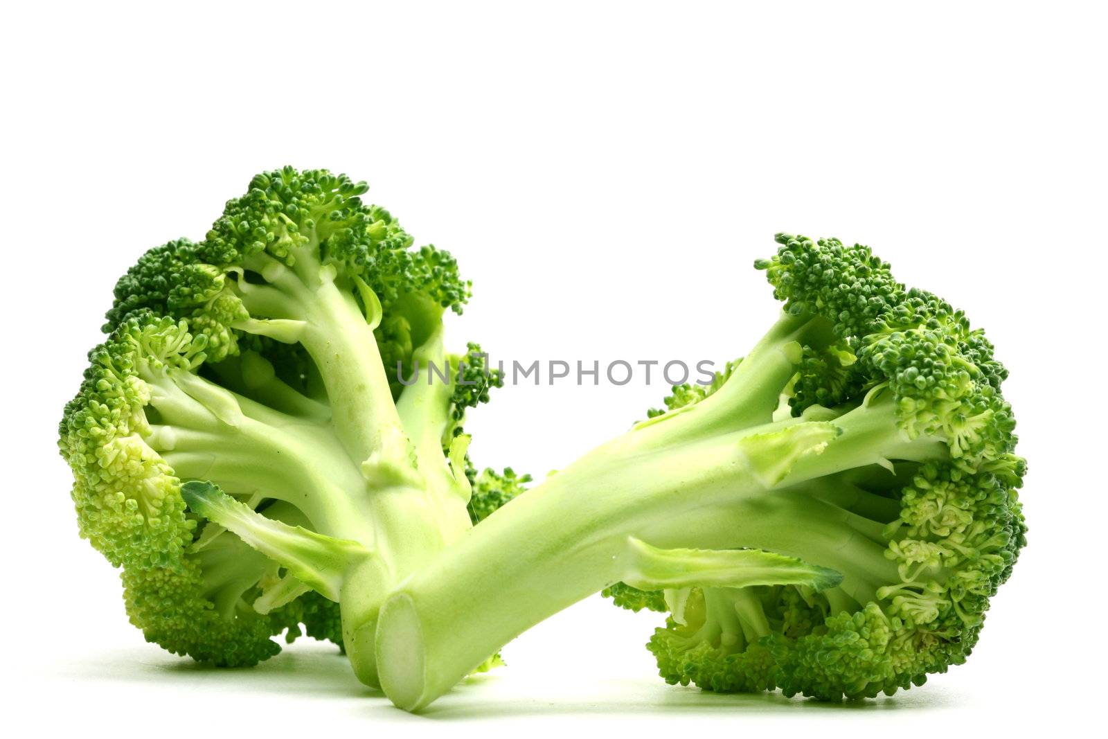 broccoli isolated on white background