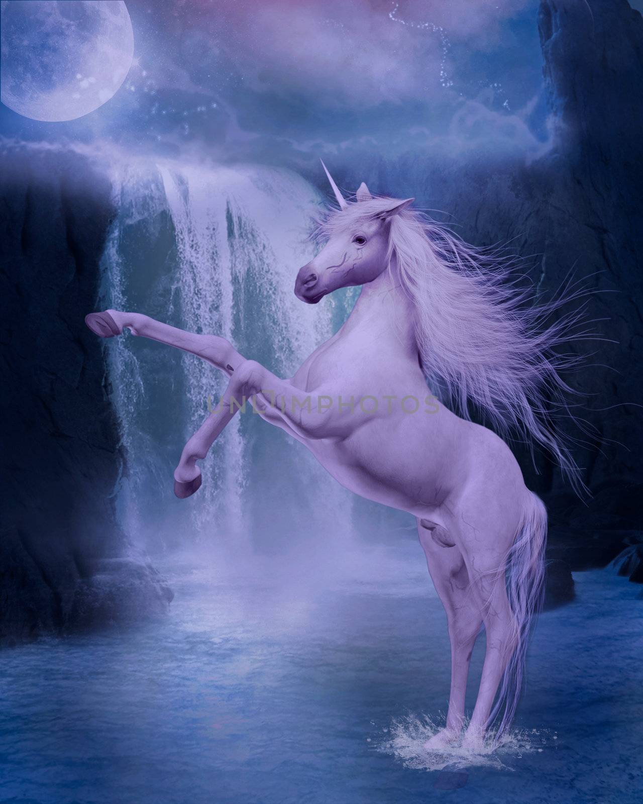 unicorn by ancello