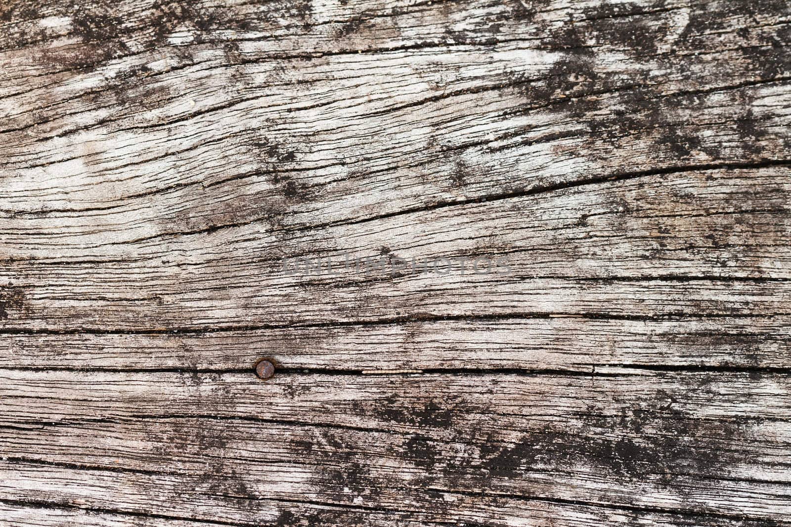 Wood texture