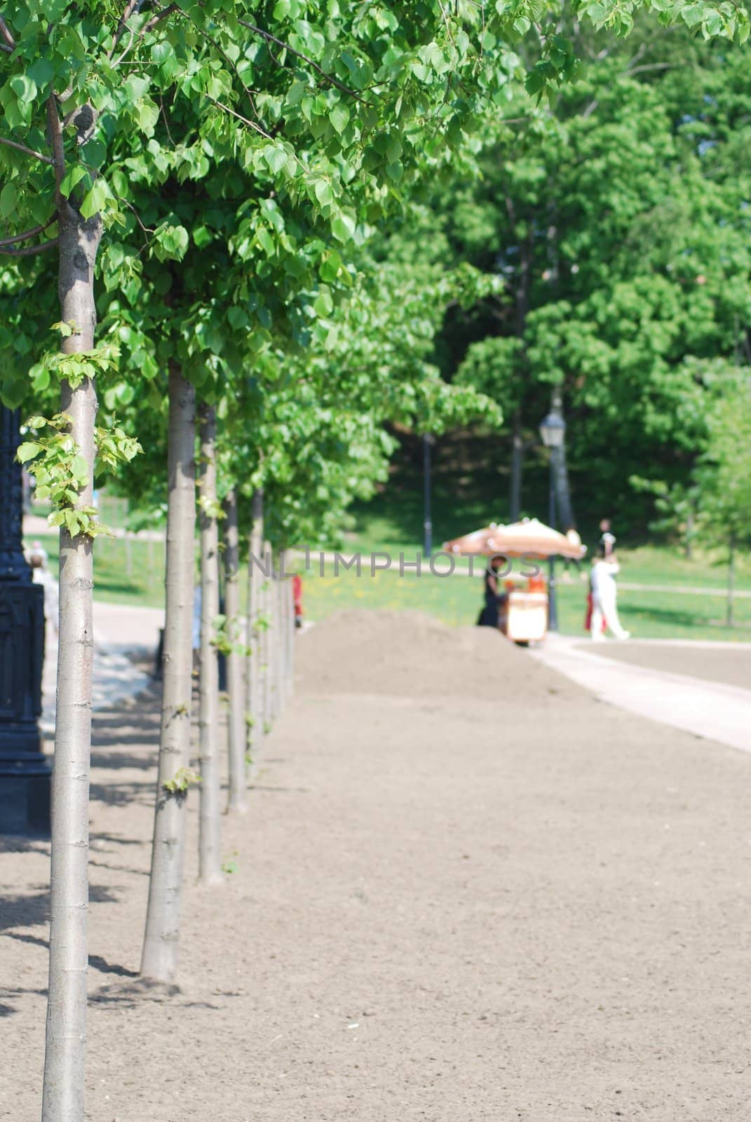 outdoor - city park in Moscow at the spring and summer