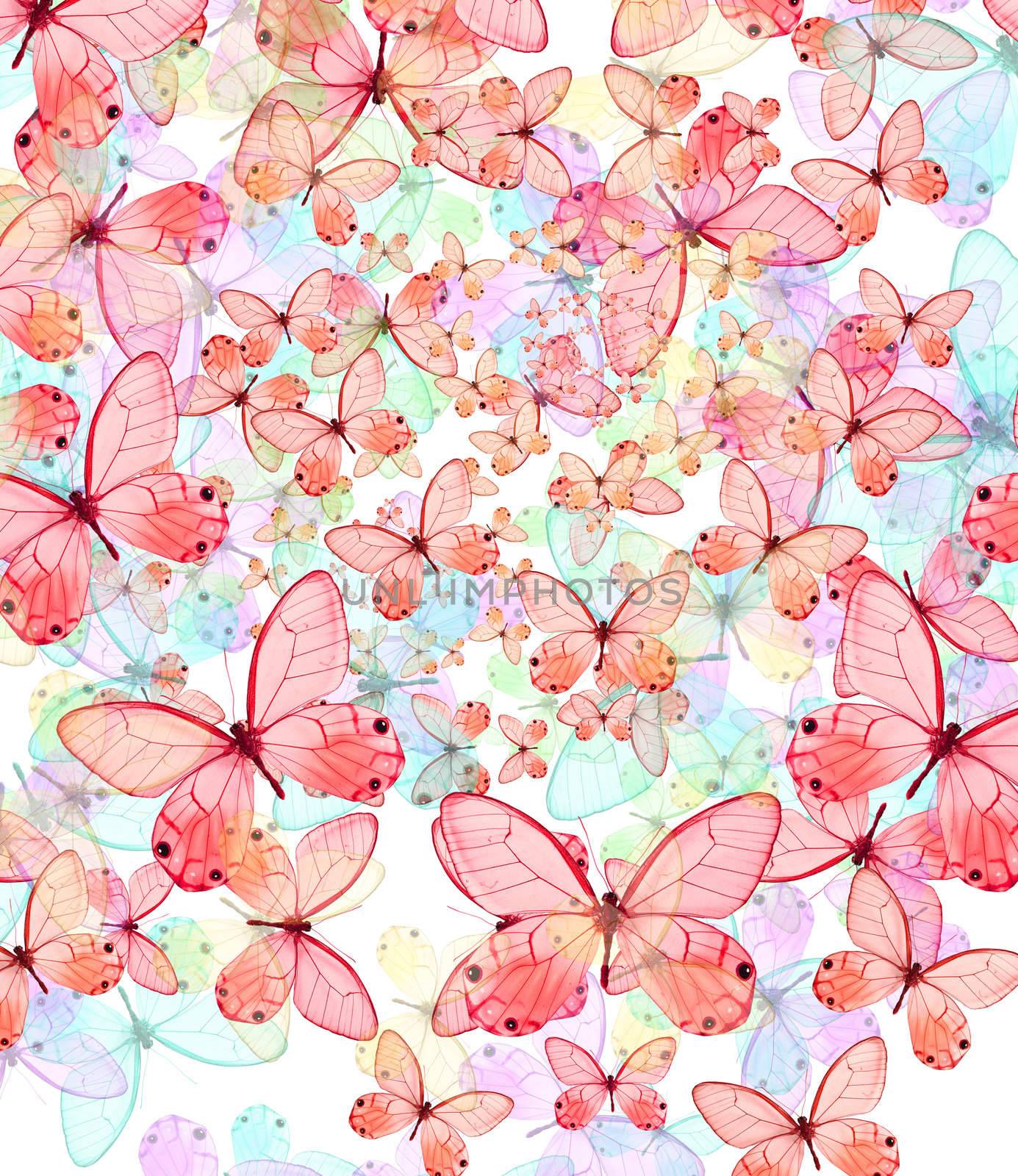 butterfly by Yellowj