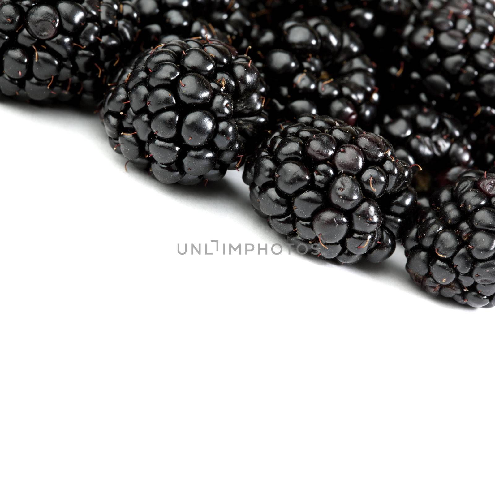 blackberry background macro close up