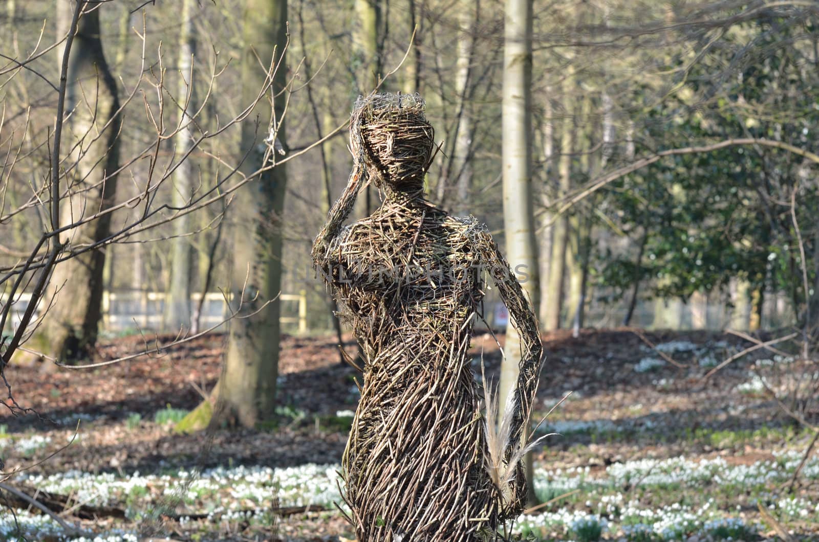 Twig woman in forest