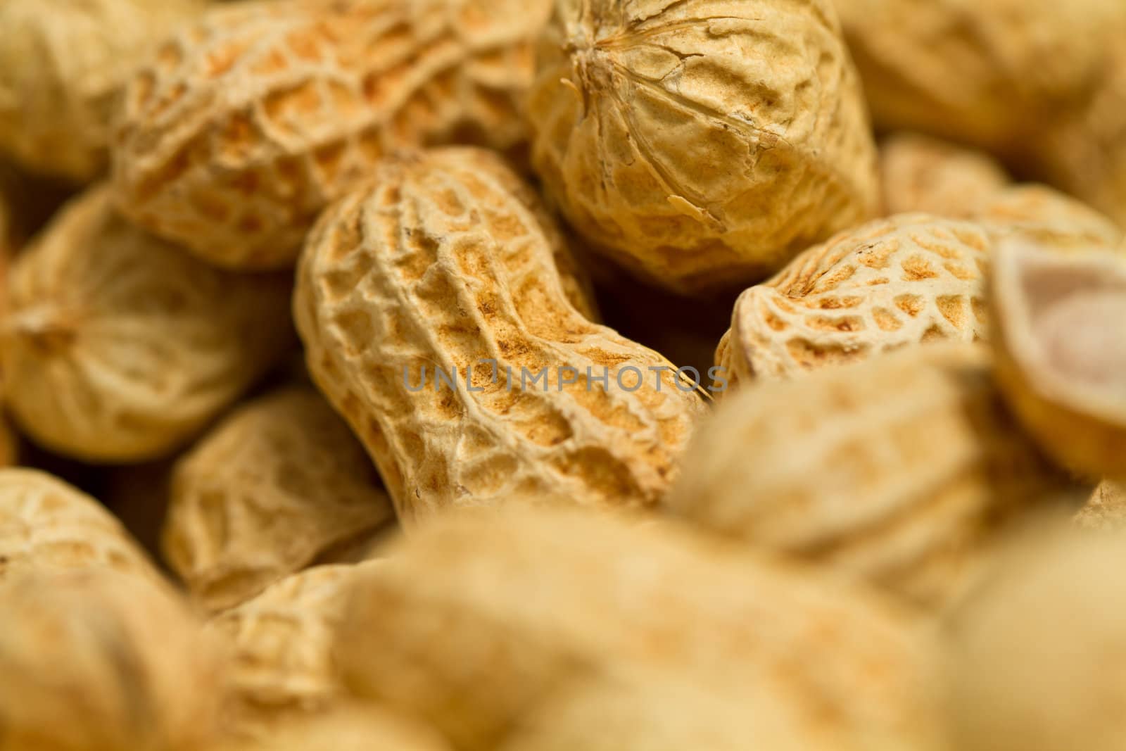 Close up view of the groundnuts in landscape orientation as abstract background