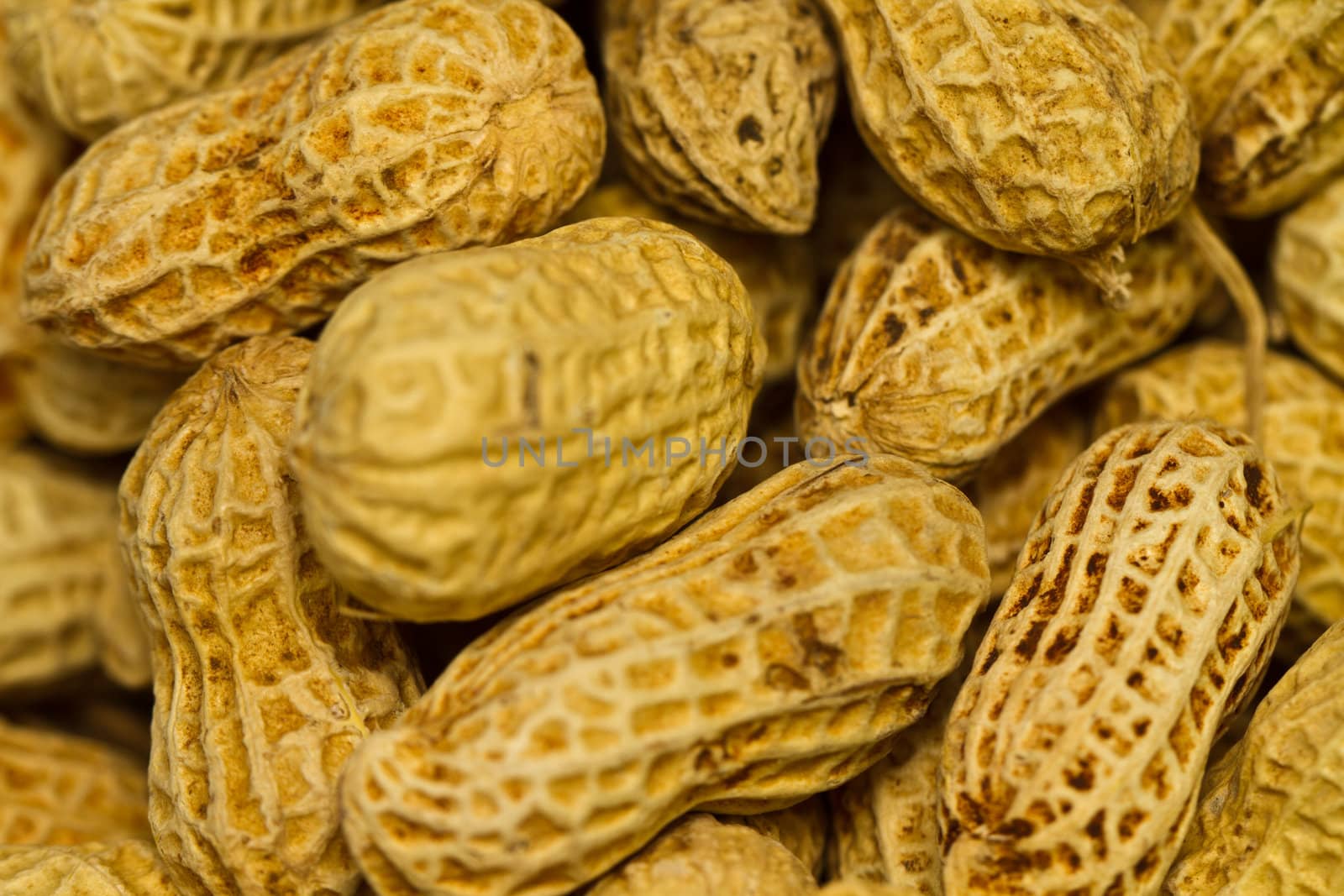 Close up view of the groundnuts in landscape orientation as abstract background