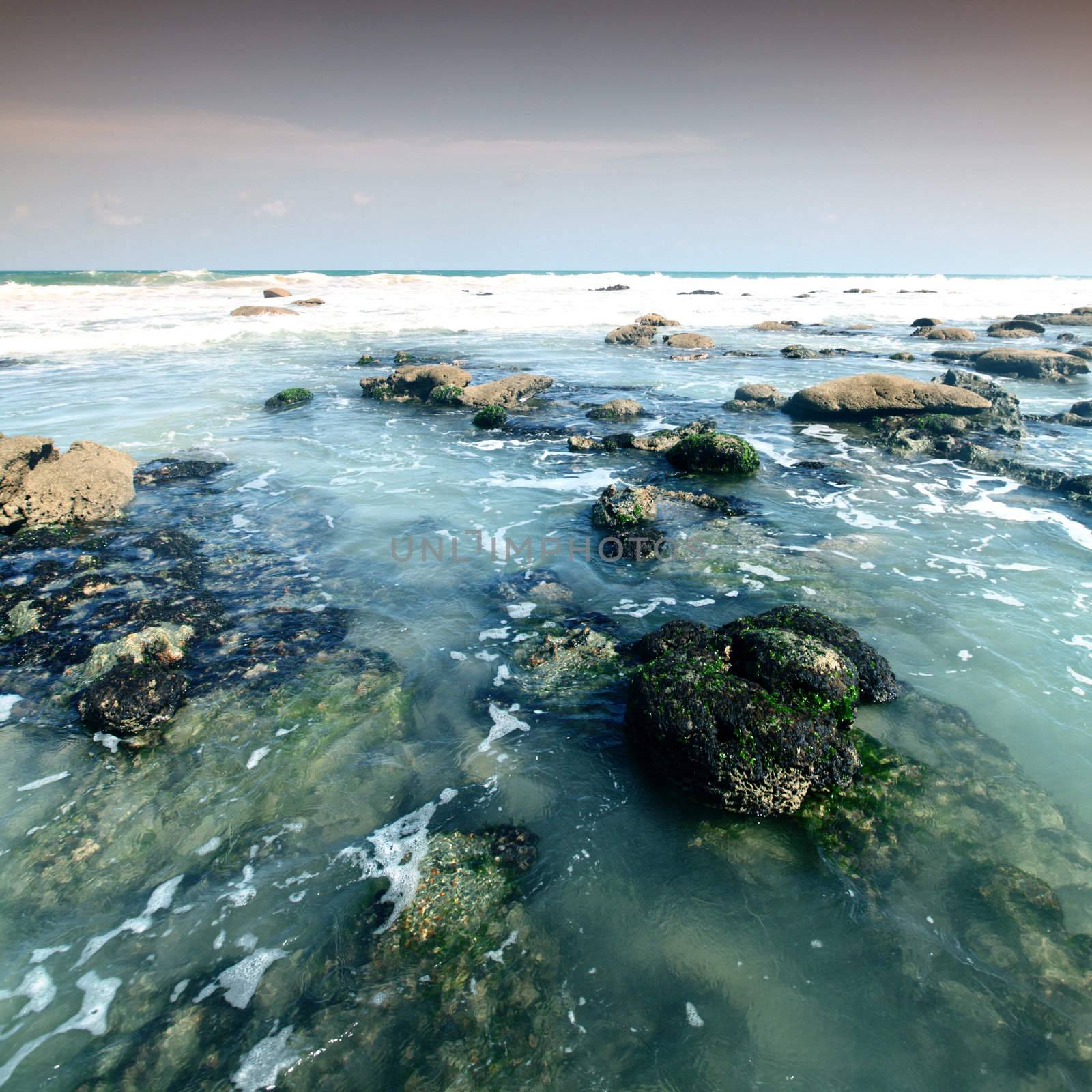 Reef stones an ocean water