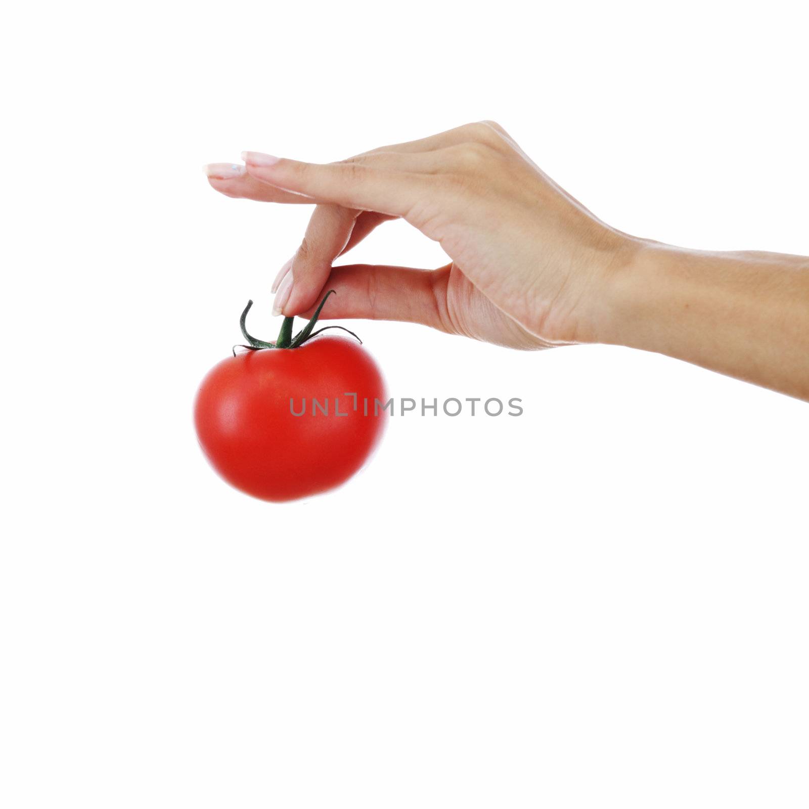 isolated tomato in woman hands close up