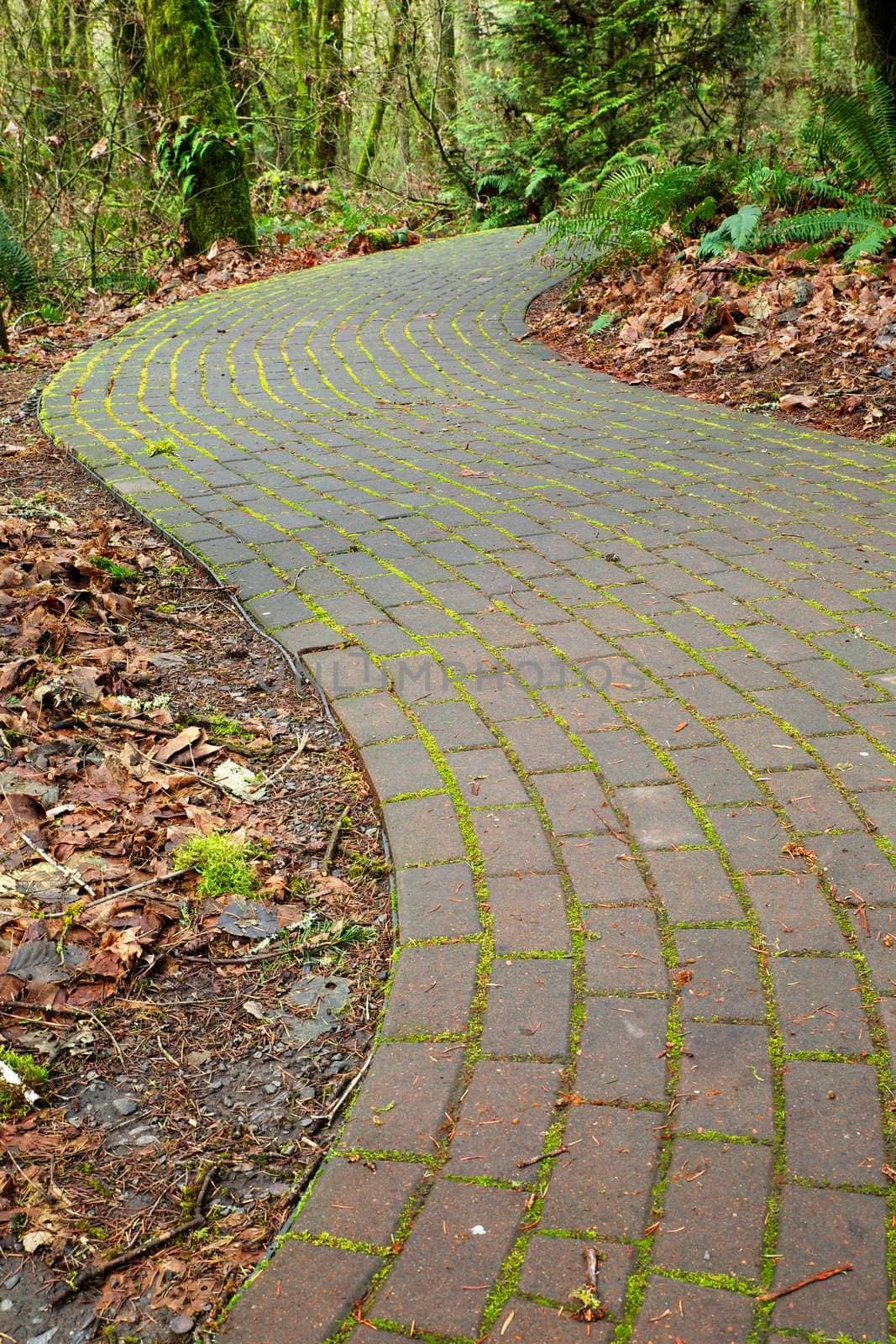 Mossy curved brick path by bobkeenan