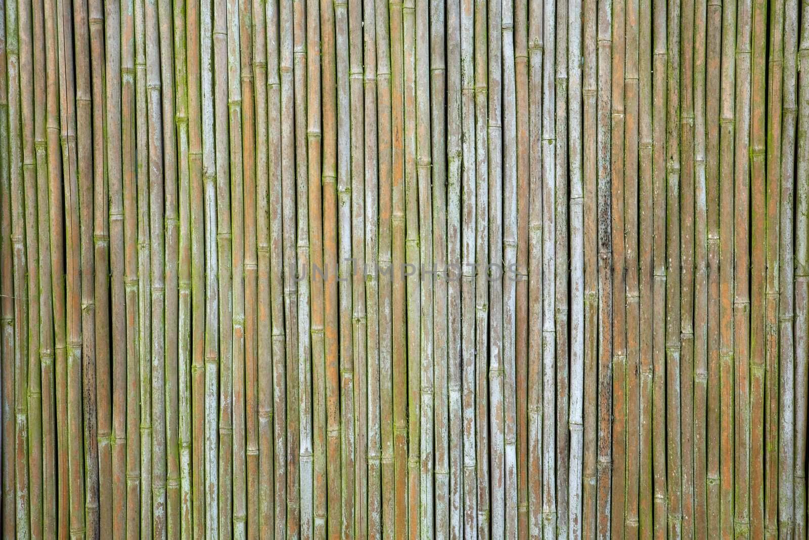 old weathered vertical bamboo wall or curtain